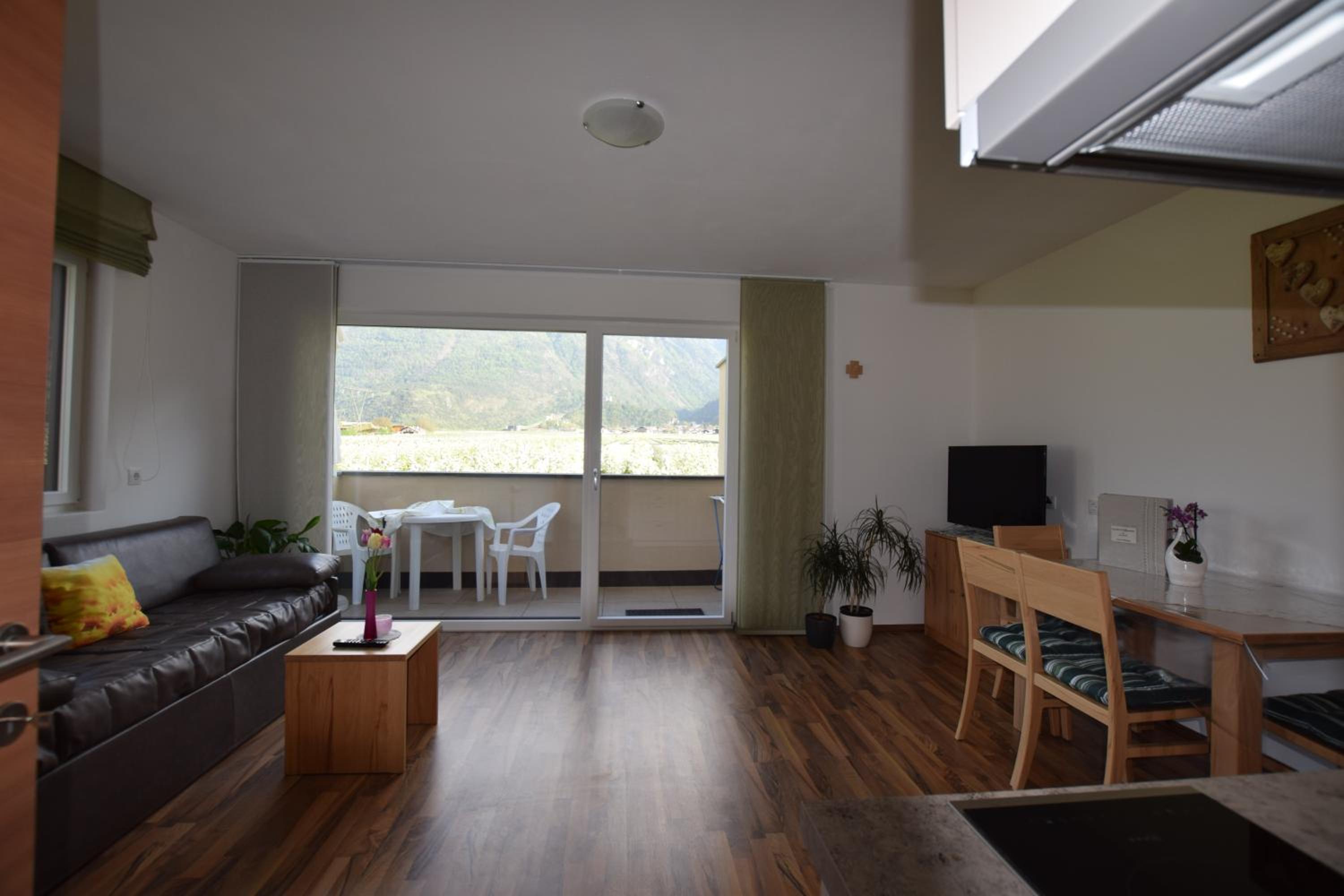 Apartment with Mountain View