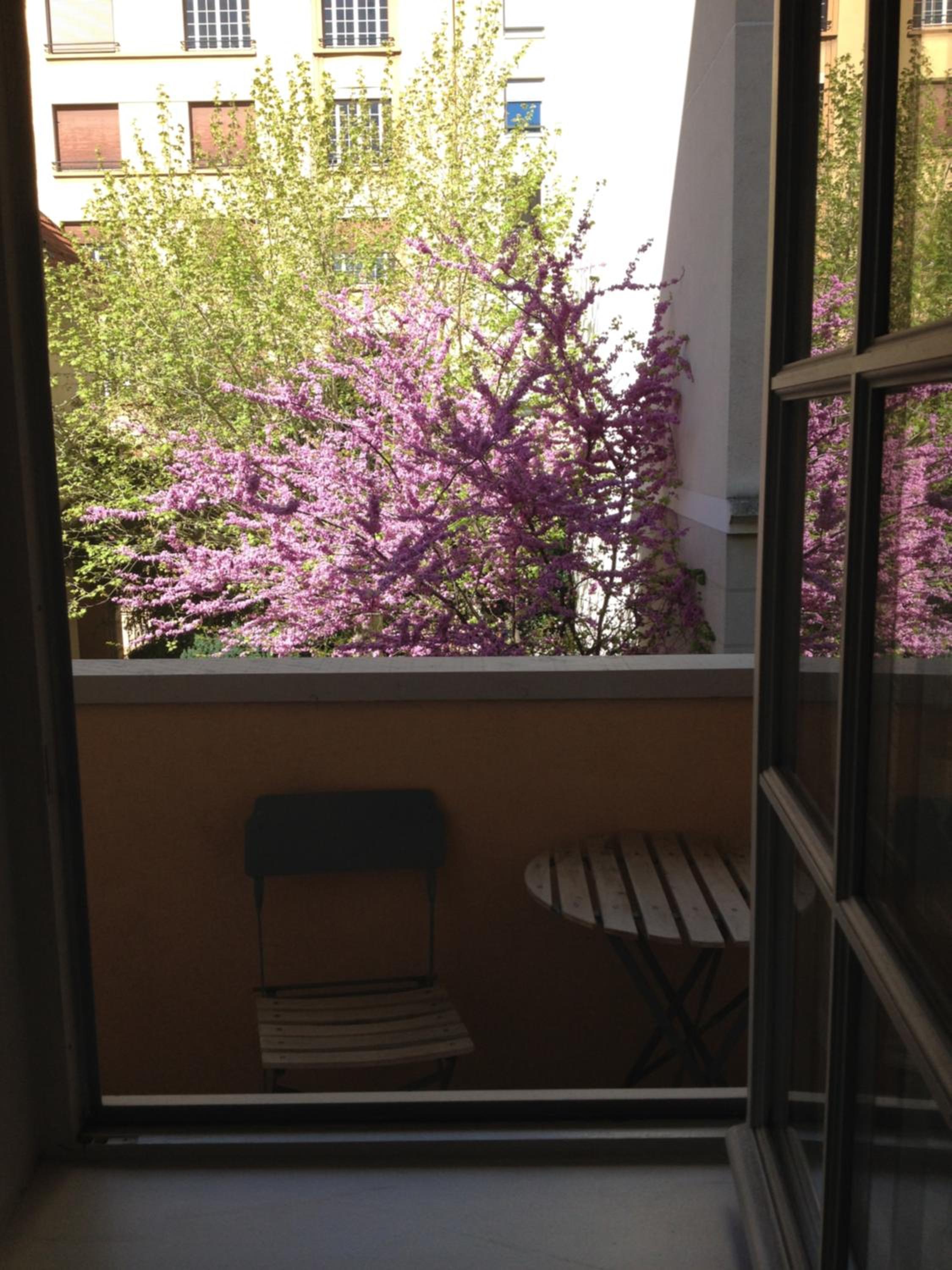 Apartment - Photo 19