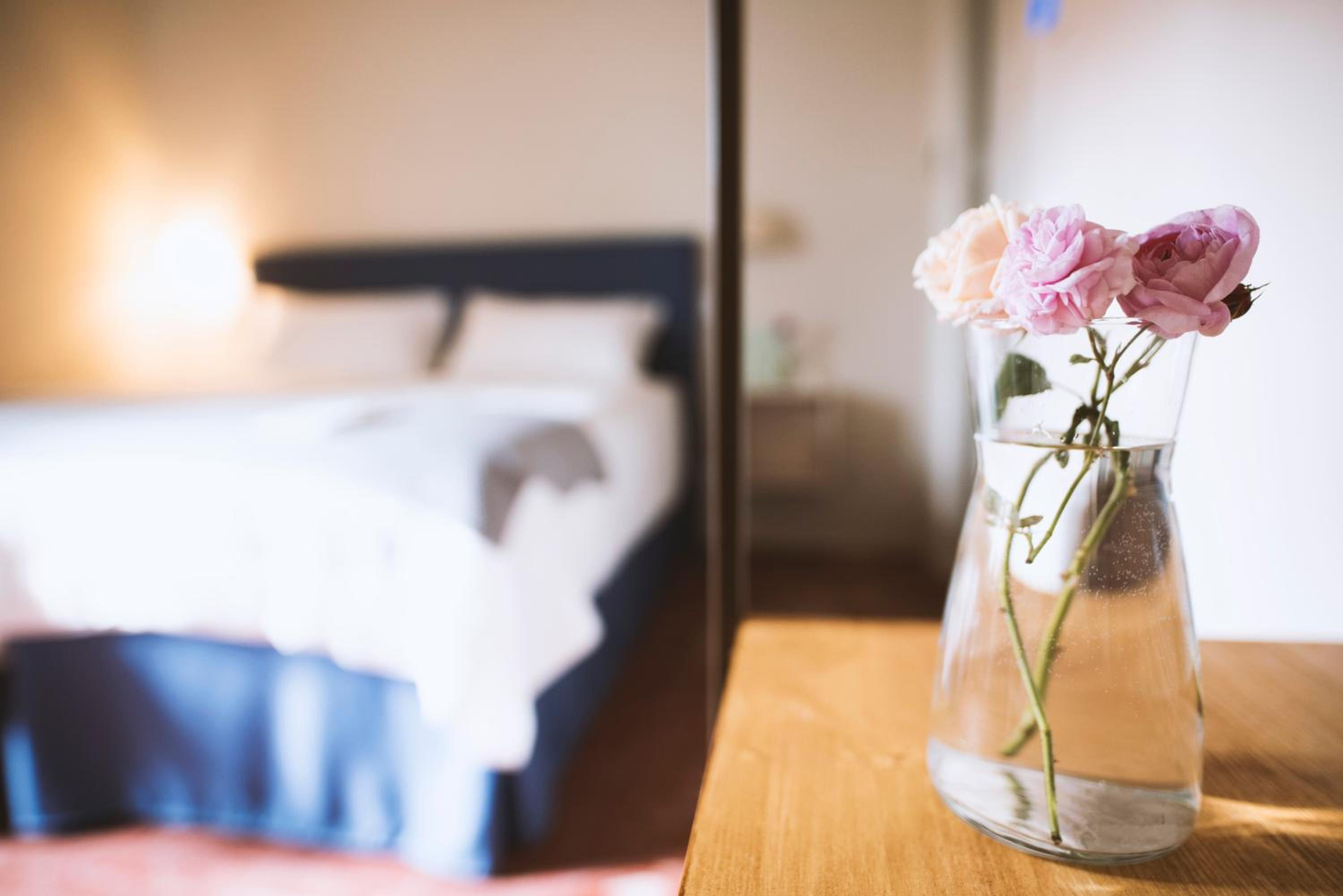 Double or Twin Room photo 3