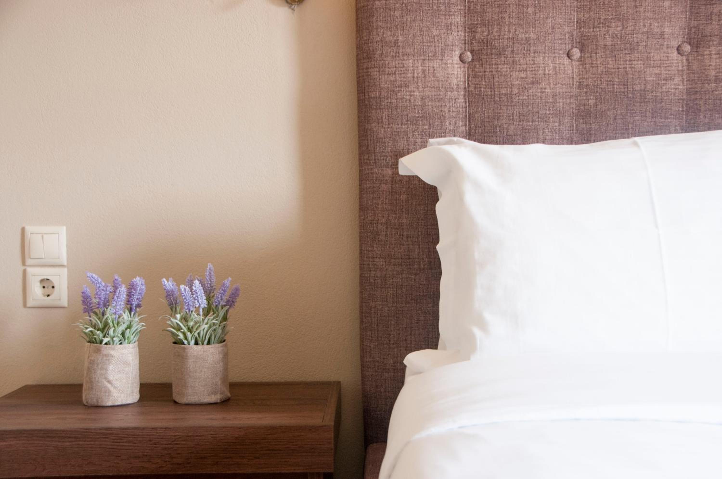 Double Room Ground Floor with Garden & Meteora View  photo 2