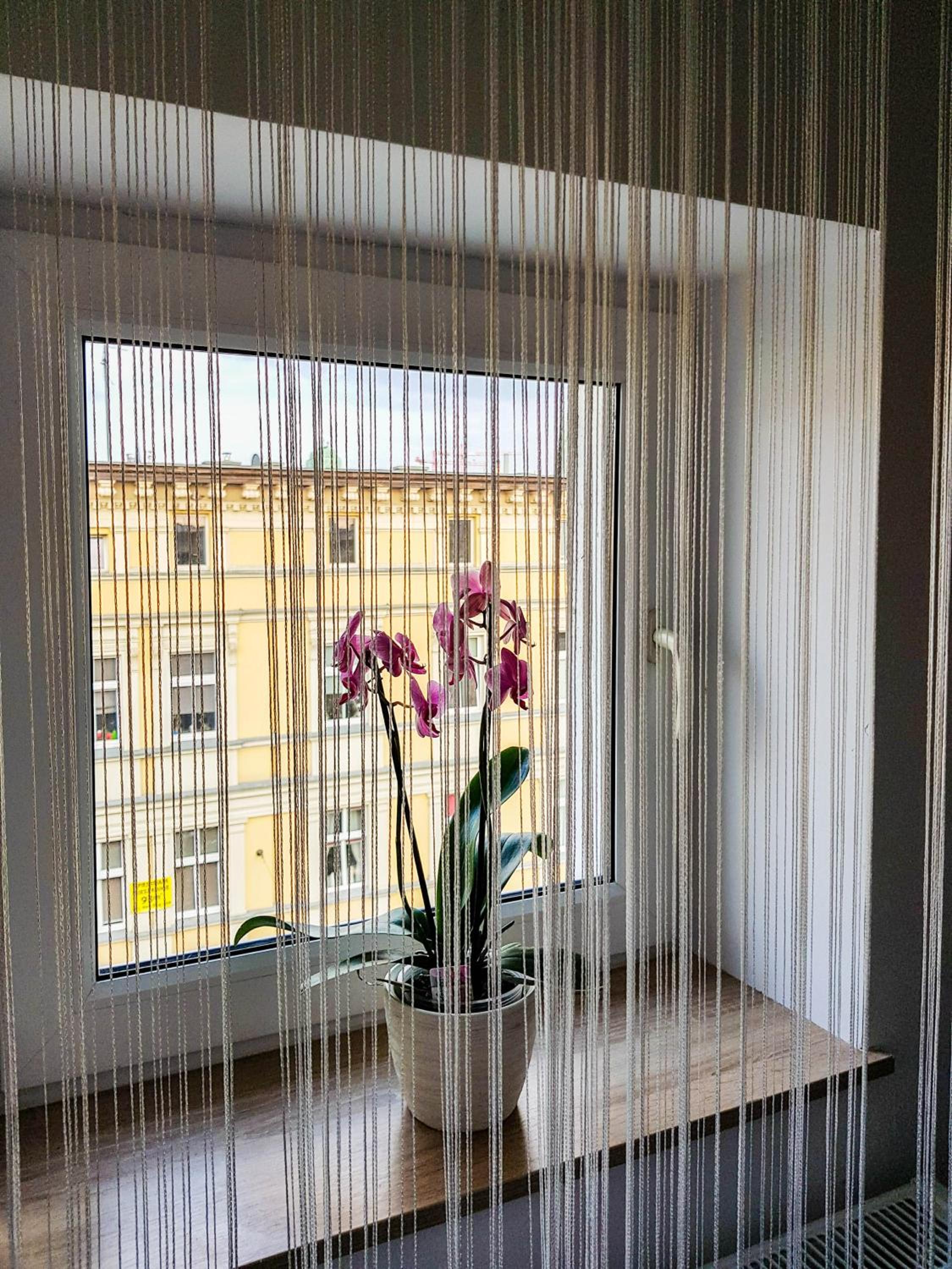 Small One Bedroom Apartment  - Photo 44