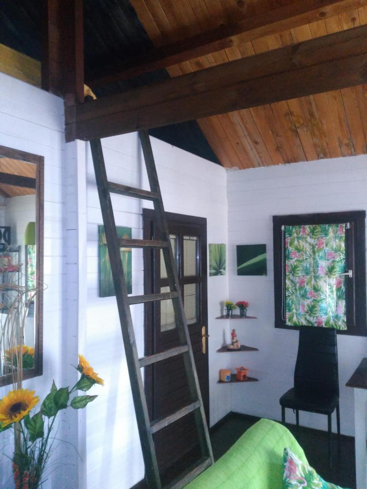 Family Bungalow - Photo 1