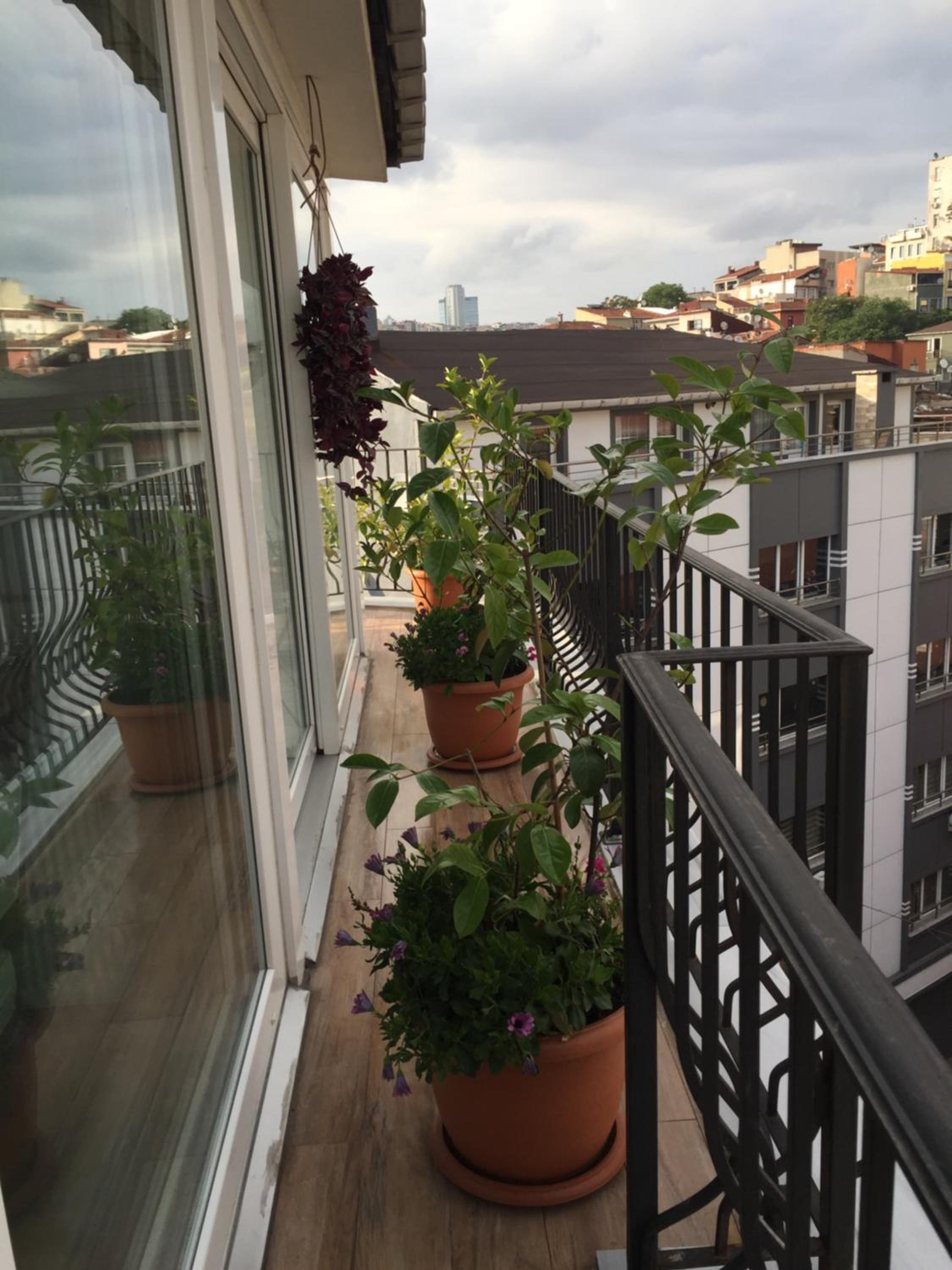 Superior Apartment with Terrace photo 3