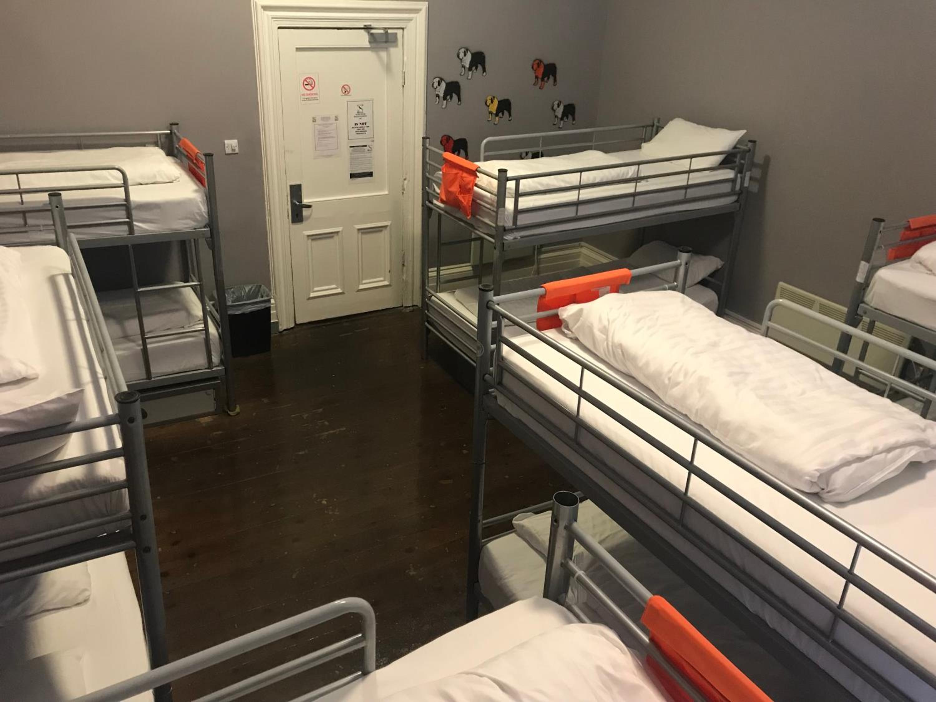 Bed in 8-Bed Mixed Dormitory Room photo 3