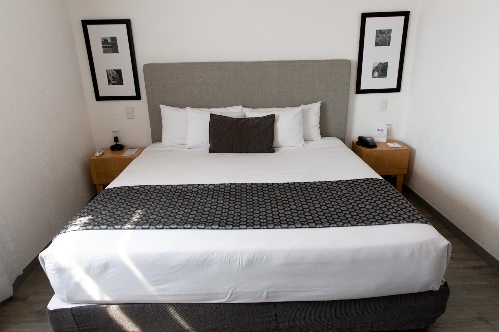Standard 1 King Bed- Non-Smoking - Photo 6