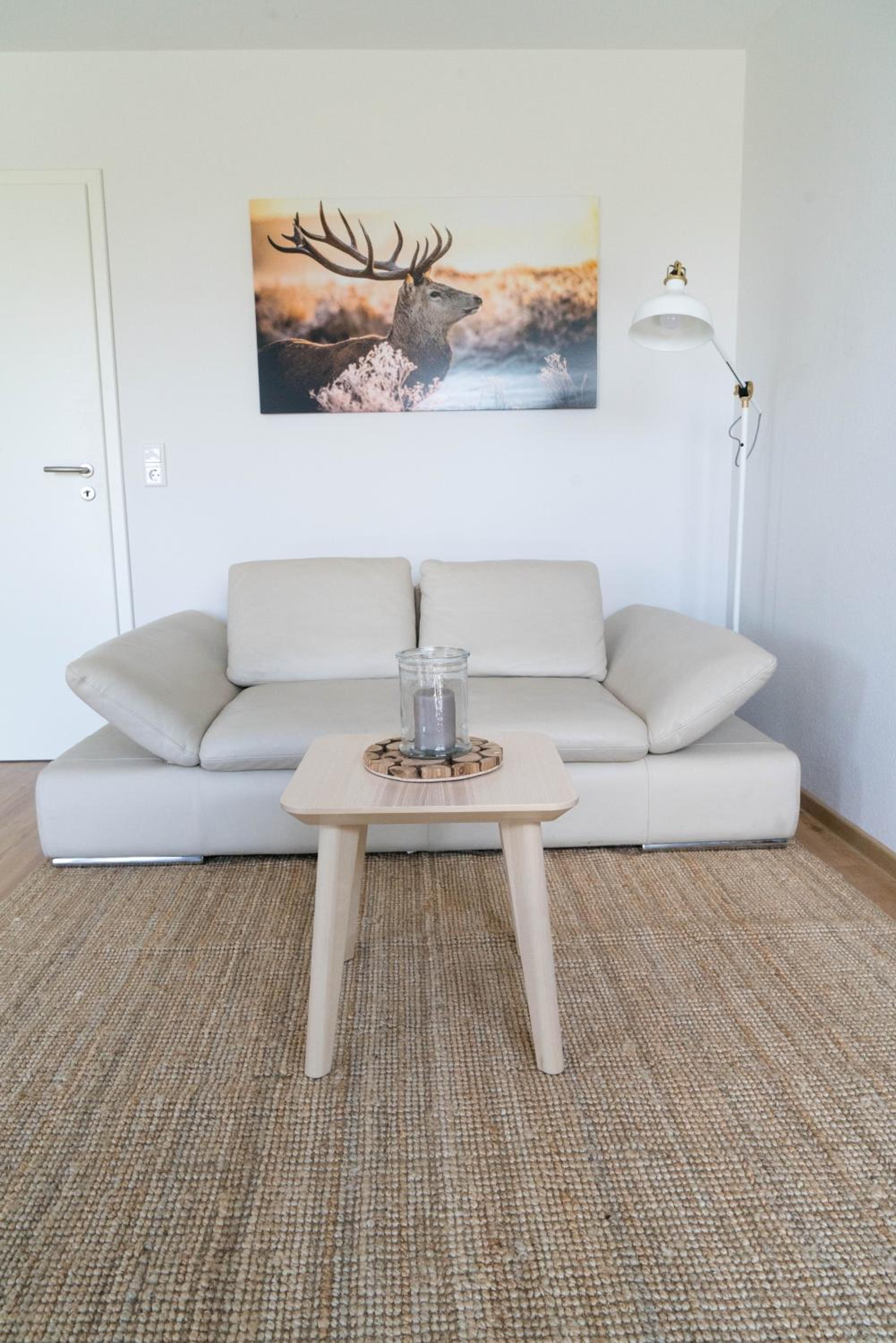 Studio Apartment photo 1
