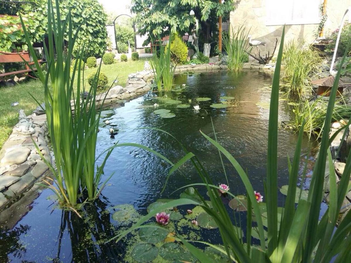 Superior Villa photo 2