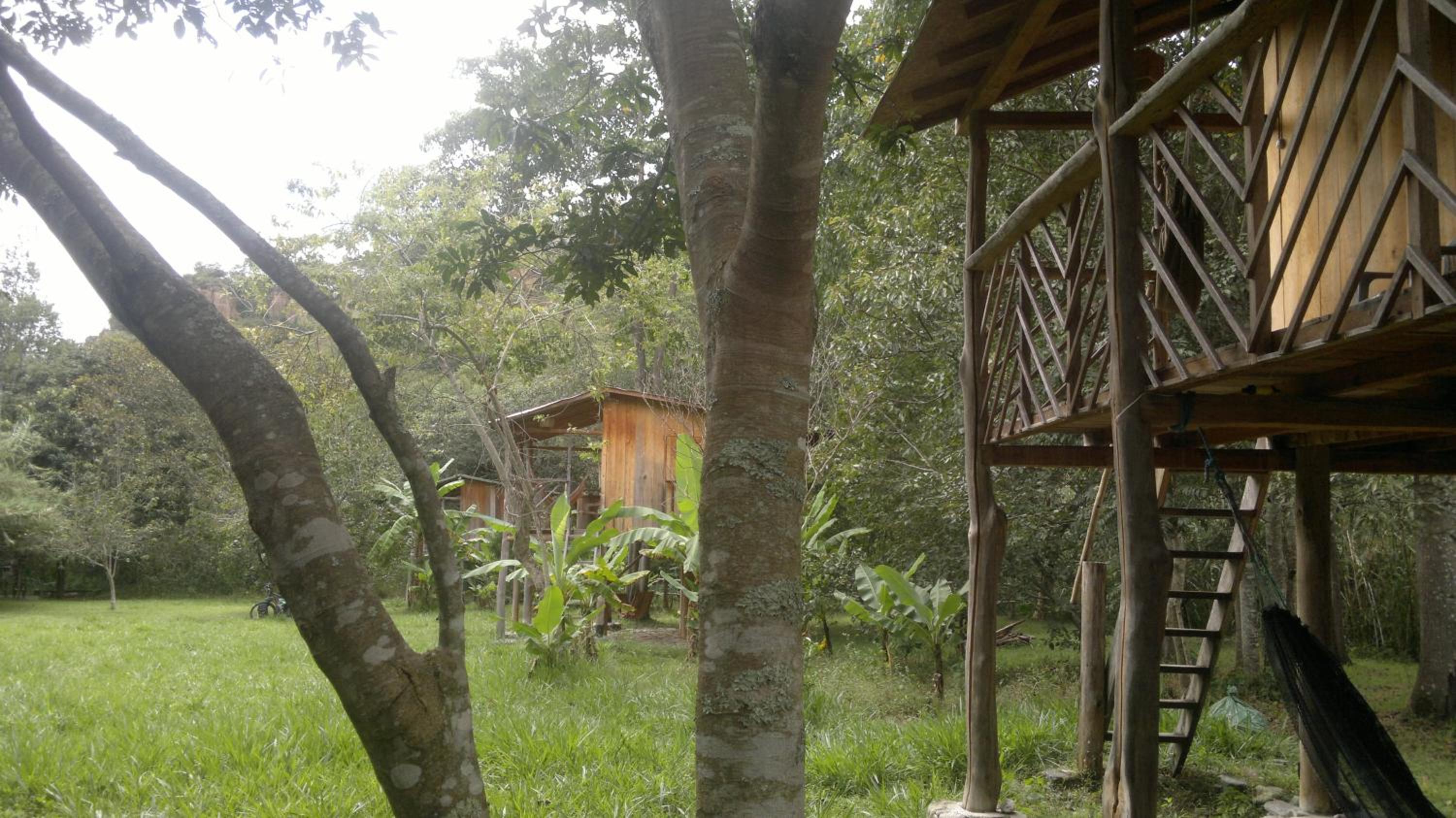 Family Bungalow photo 2