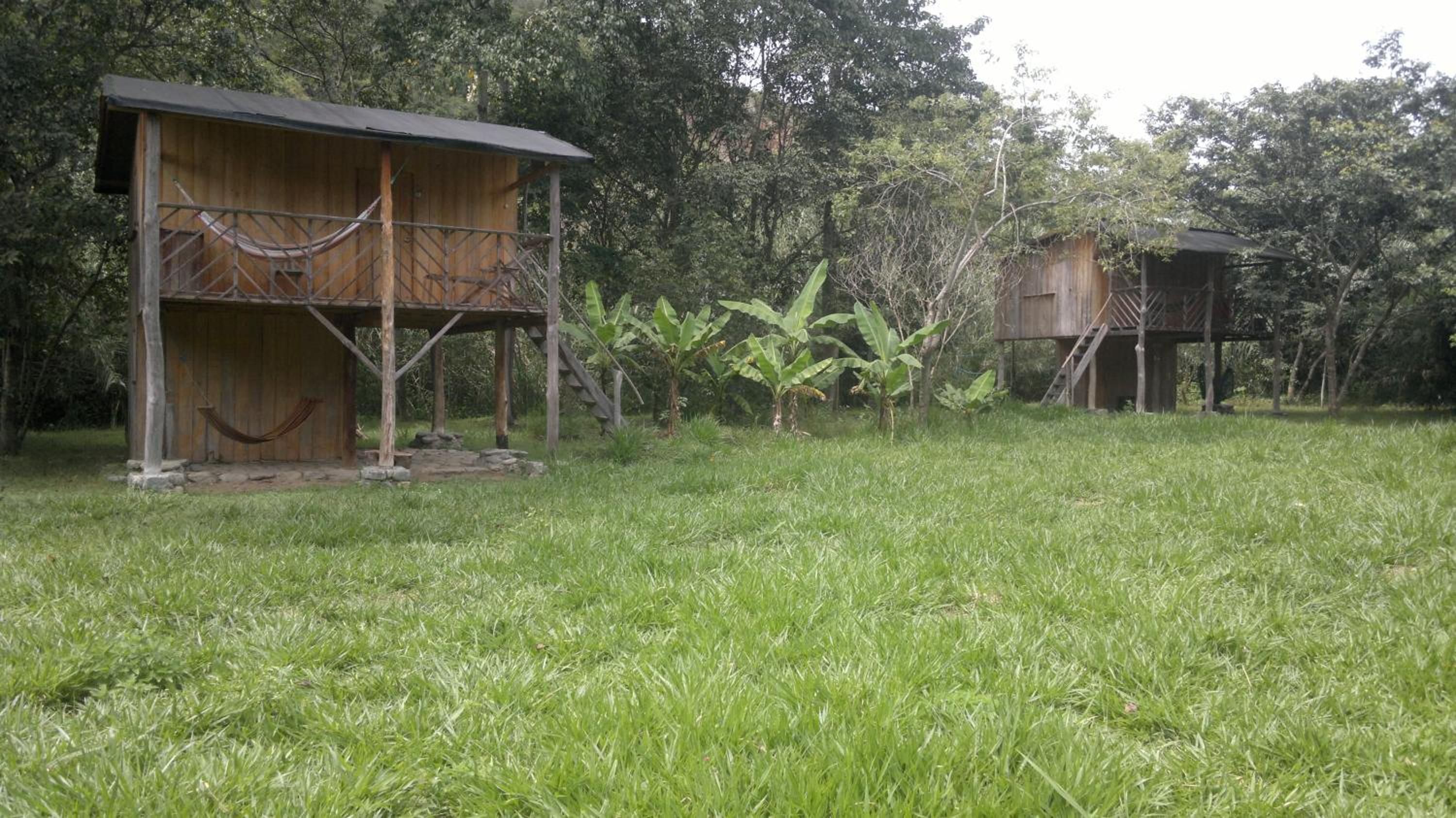 Family Bungalow photo 3