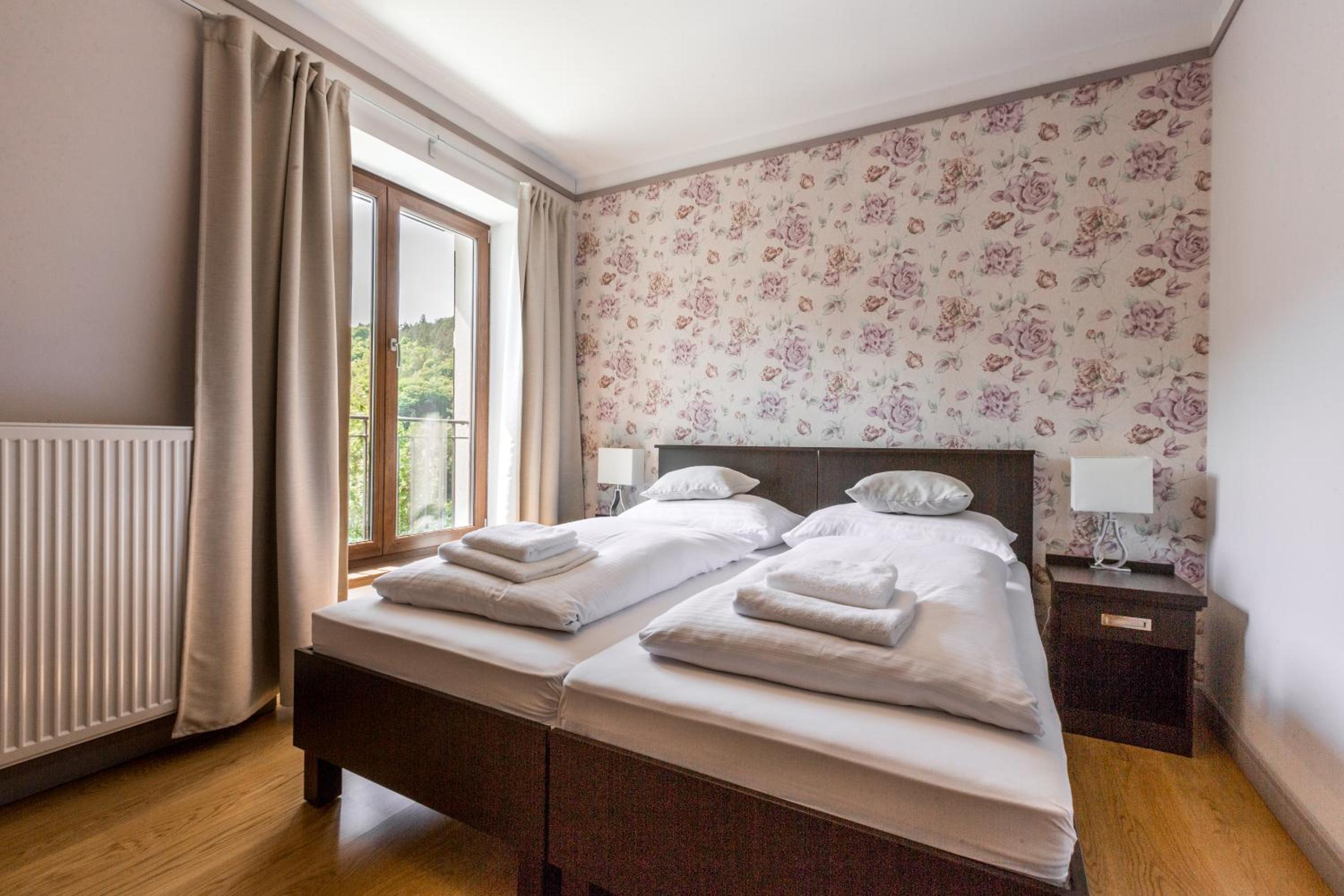 Deluxe Double or Twin Room with River View