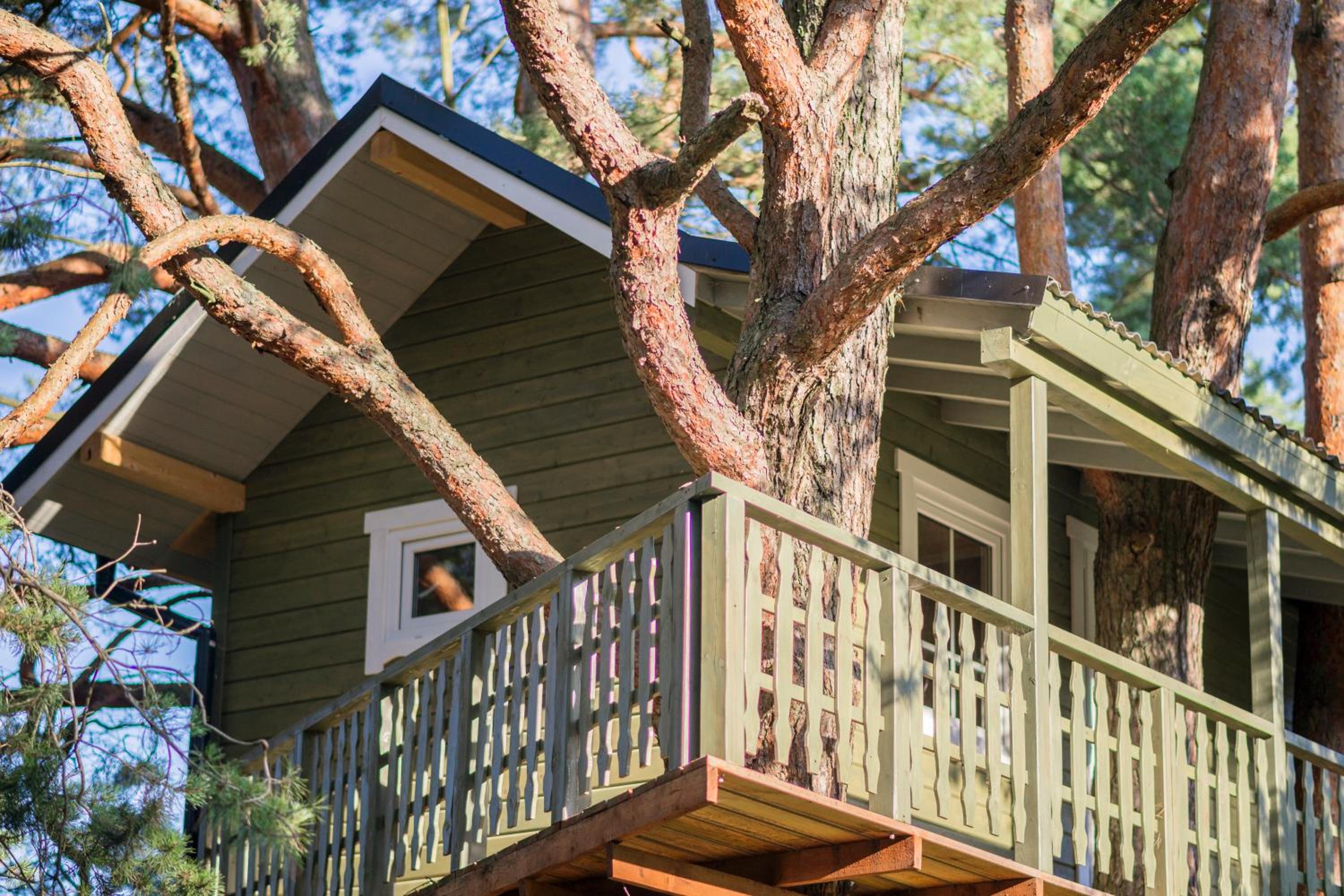 Treehouse - Photo 12
