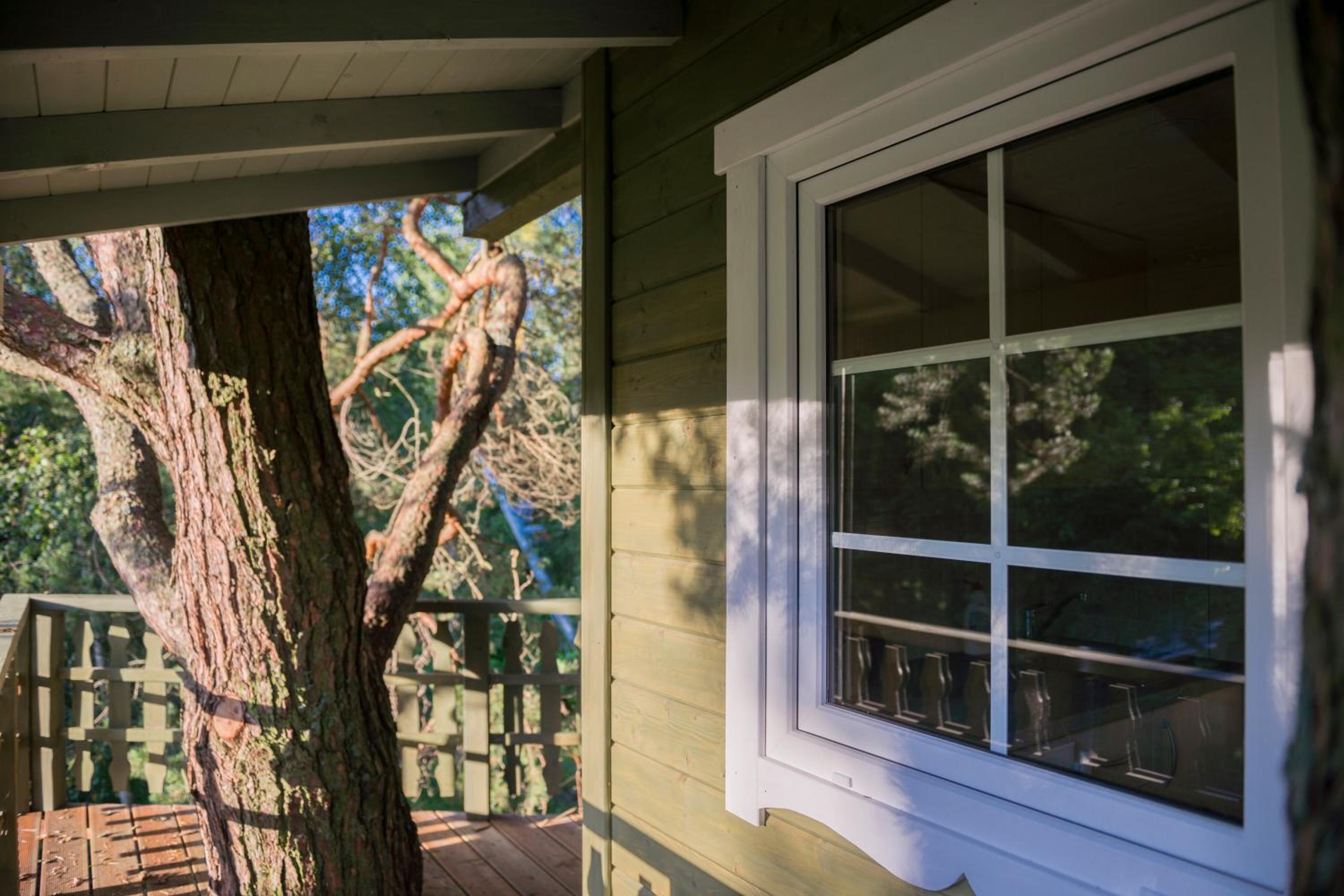 Treehouse - Photo 17