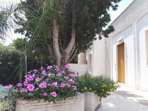 Holiday Home photo 3