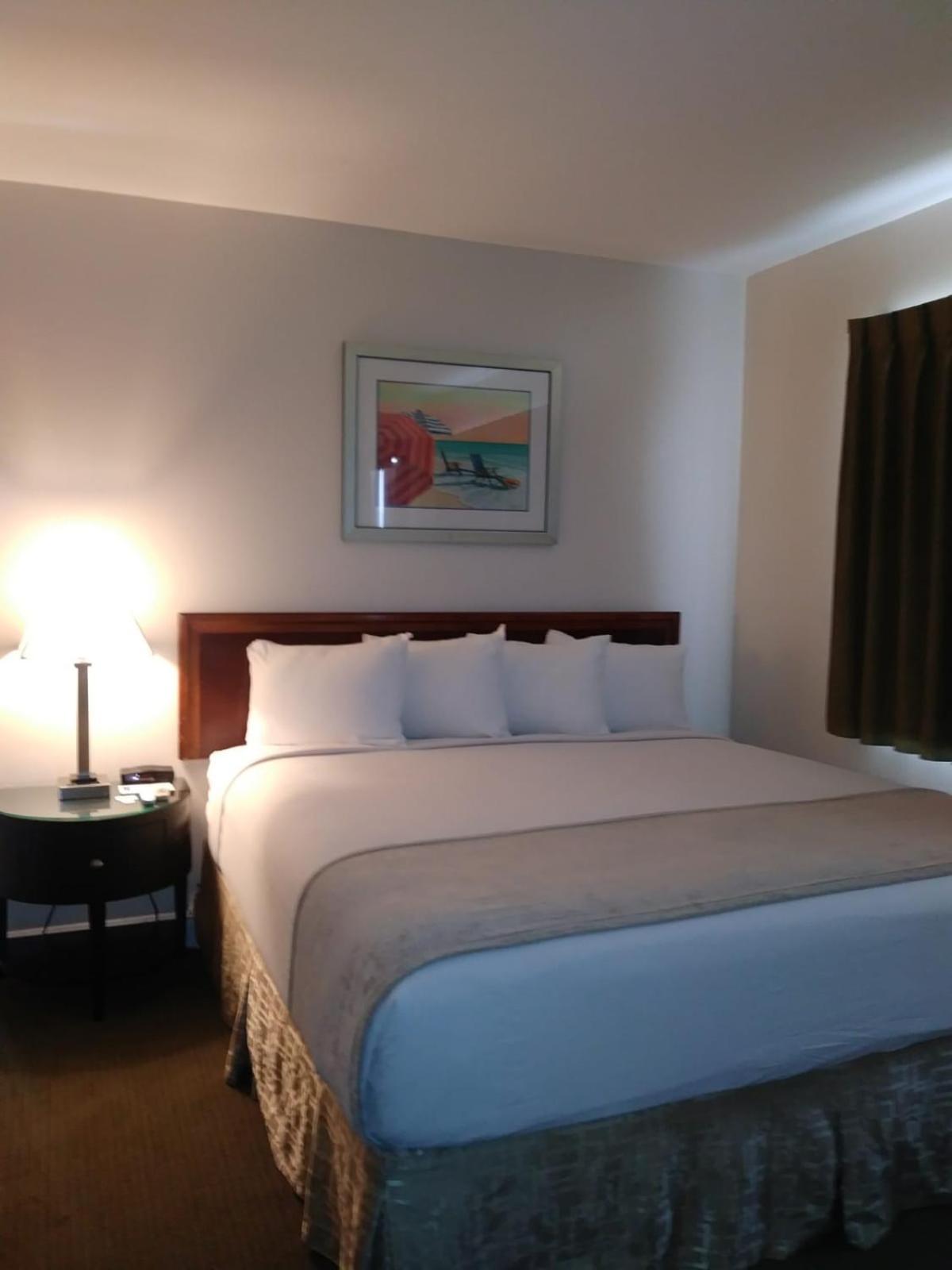 Superior King with Kitchenette- Free Parking - Photo 4
