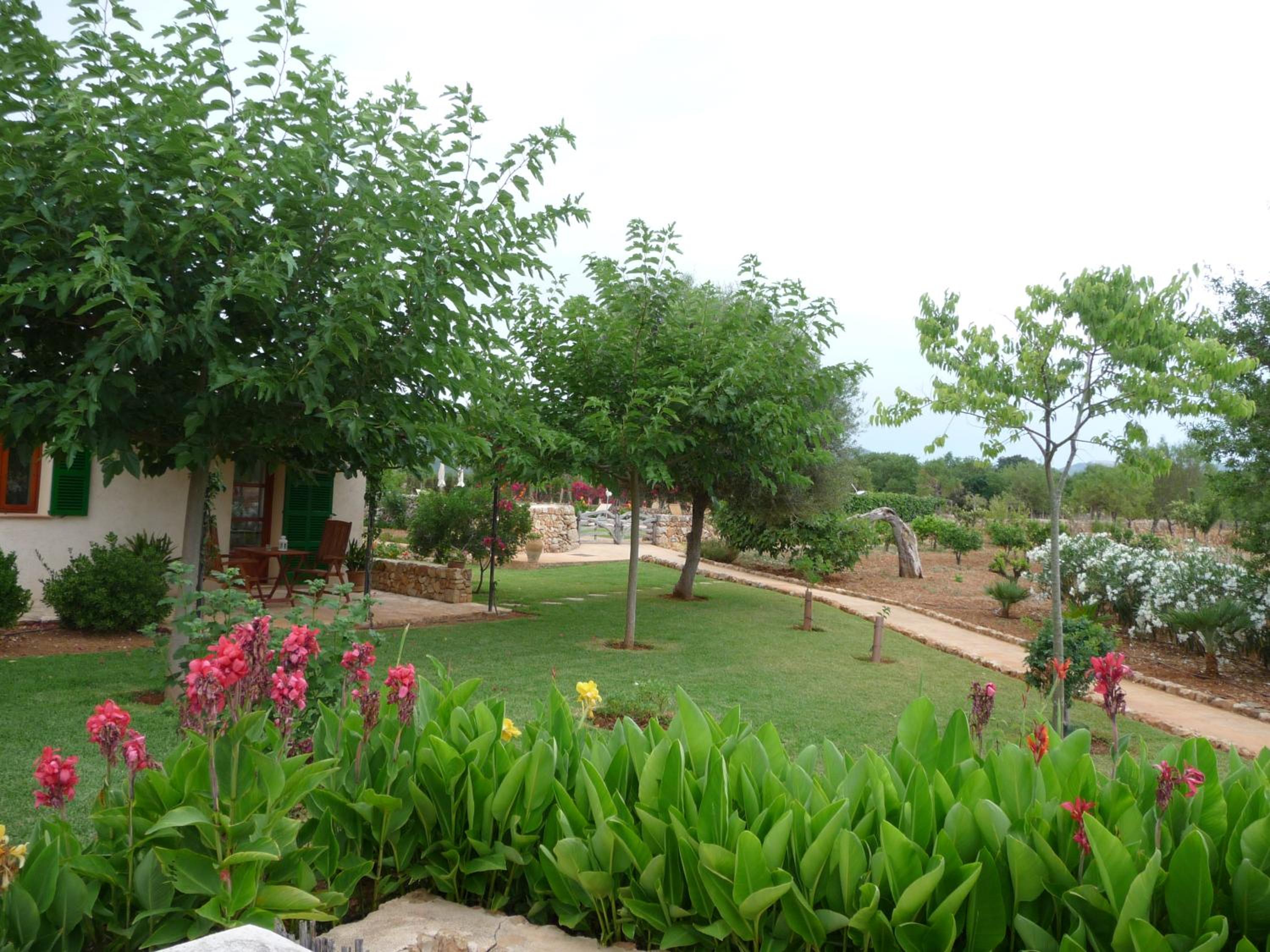 Bungalow with Garden View photo 2