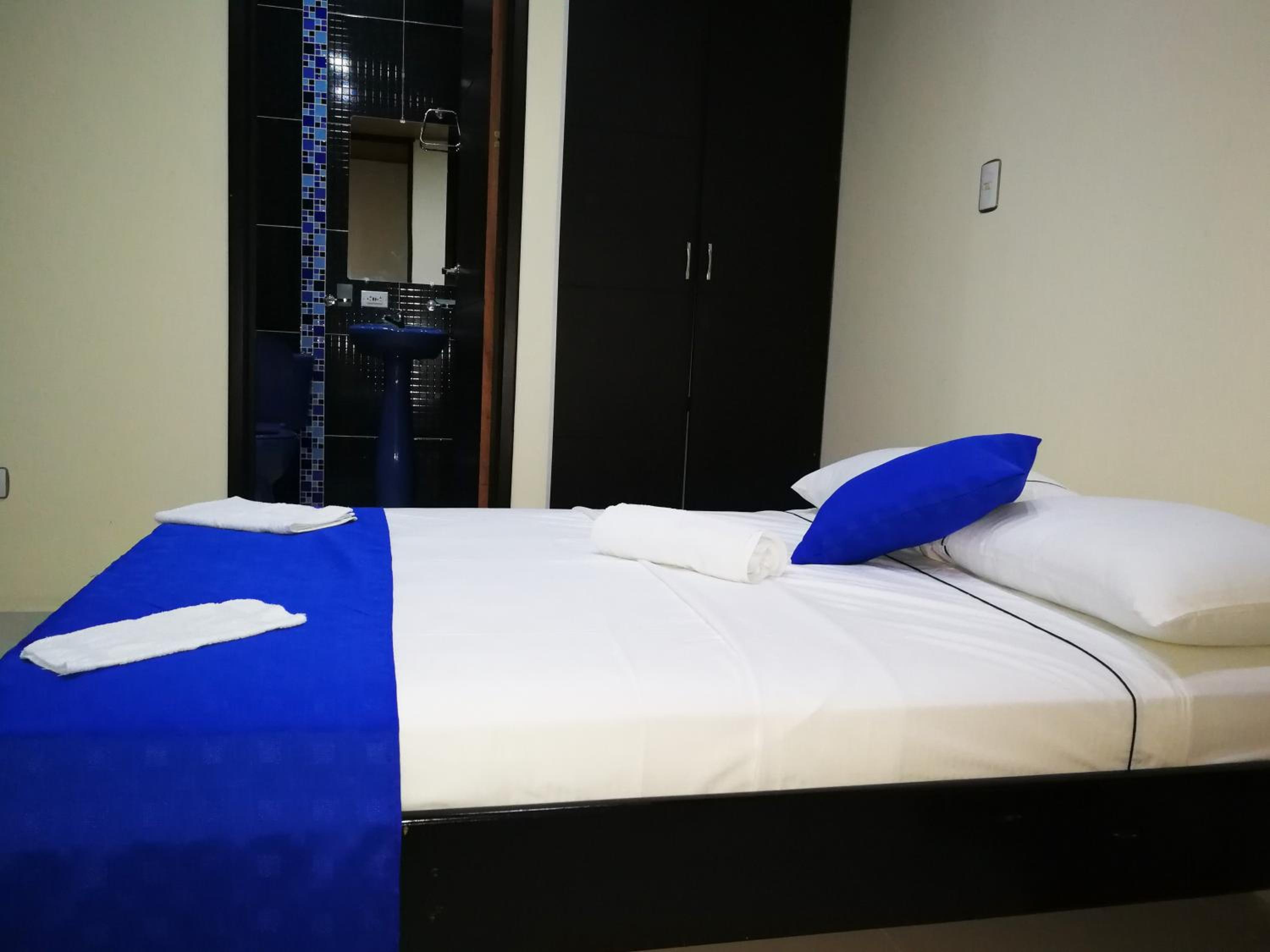 Deluxe Double or Twin Room photo 2
