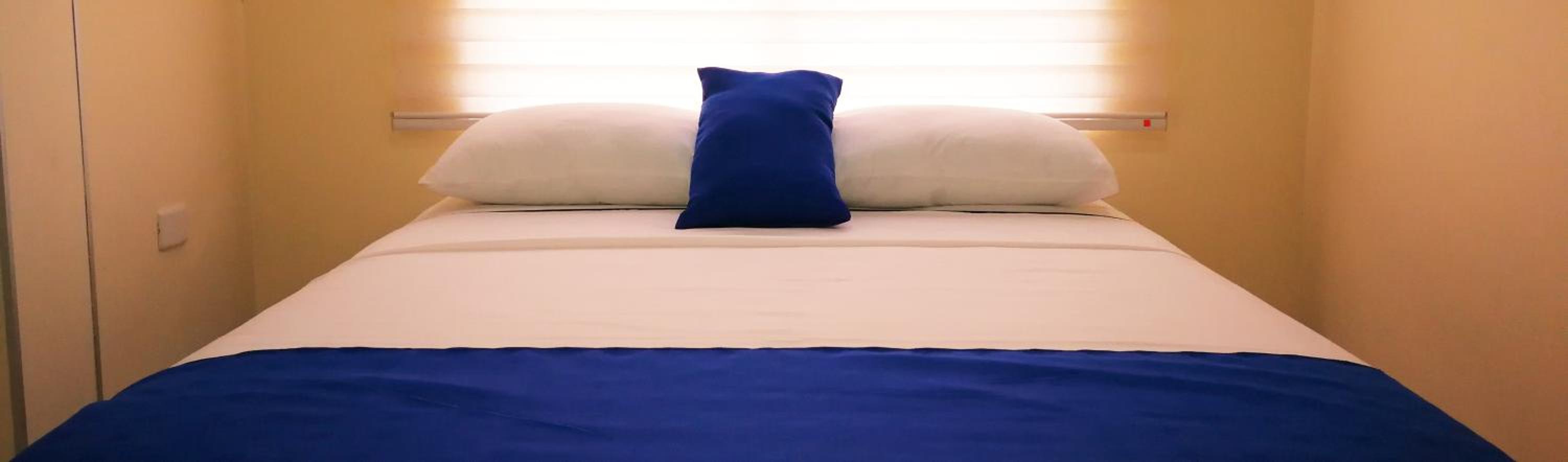 Deluxe Double or Twin Room photo 3