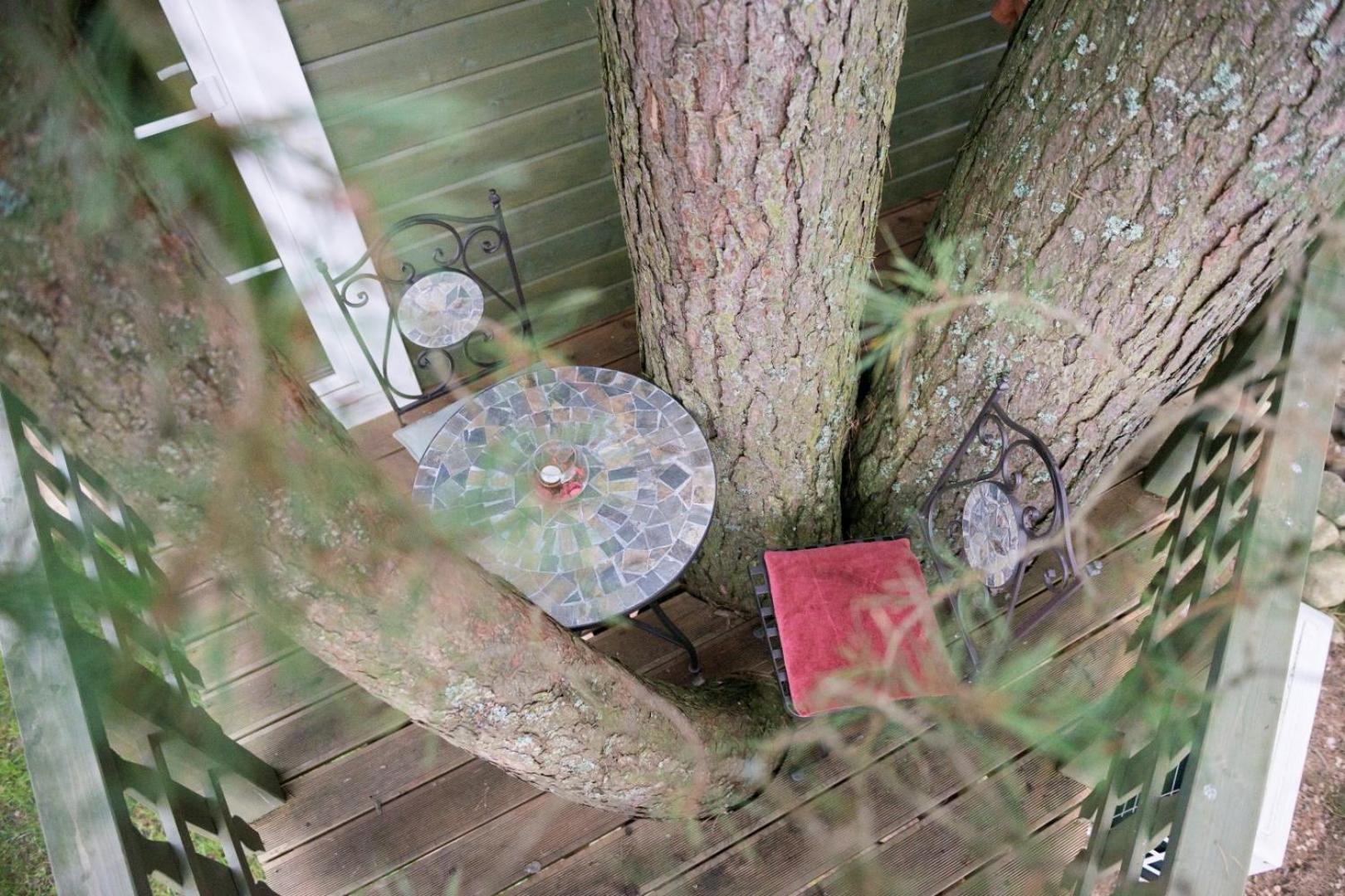 Treehouse - Photo 4