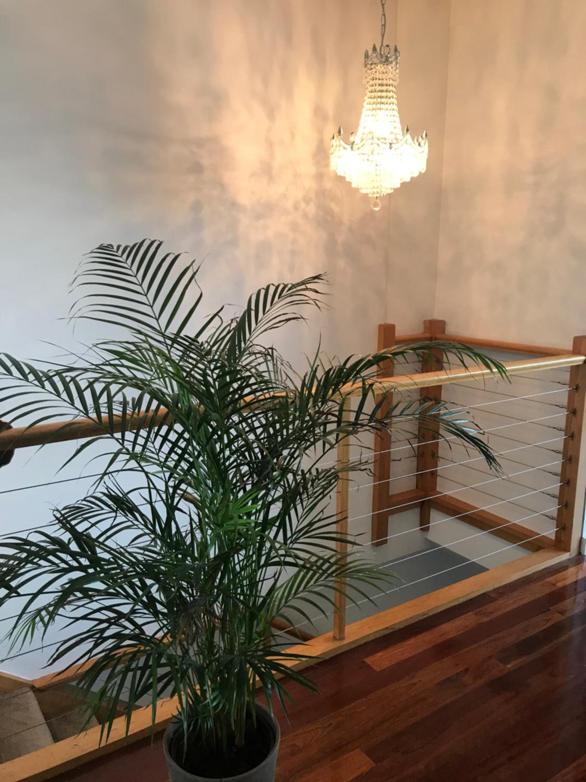 One-Bedroom actual beachfront with Sea View photo 3