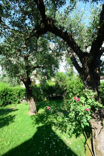 Holiday Home photo 1
