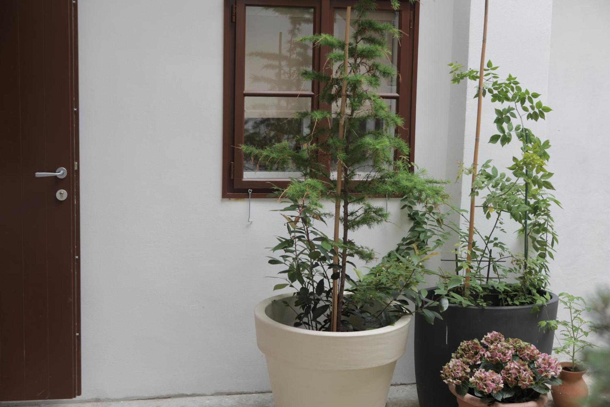 Studio Apartment - Photo 8