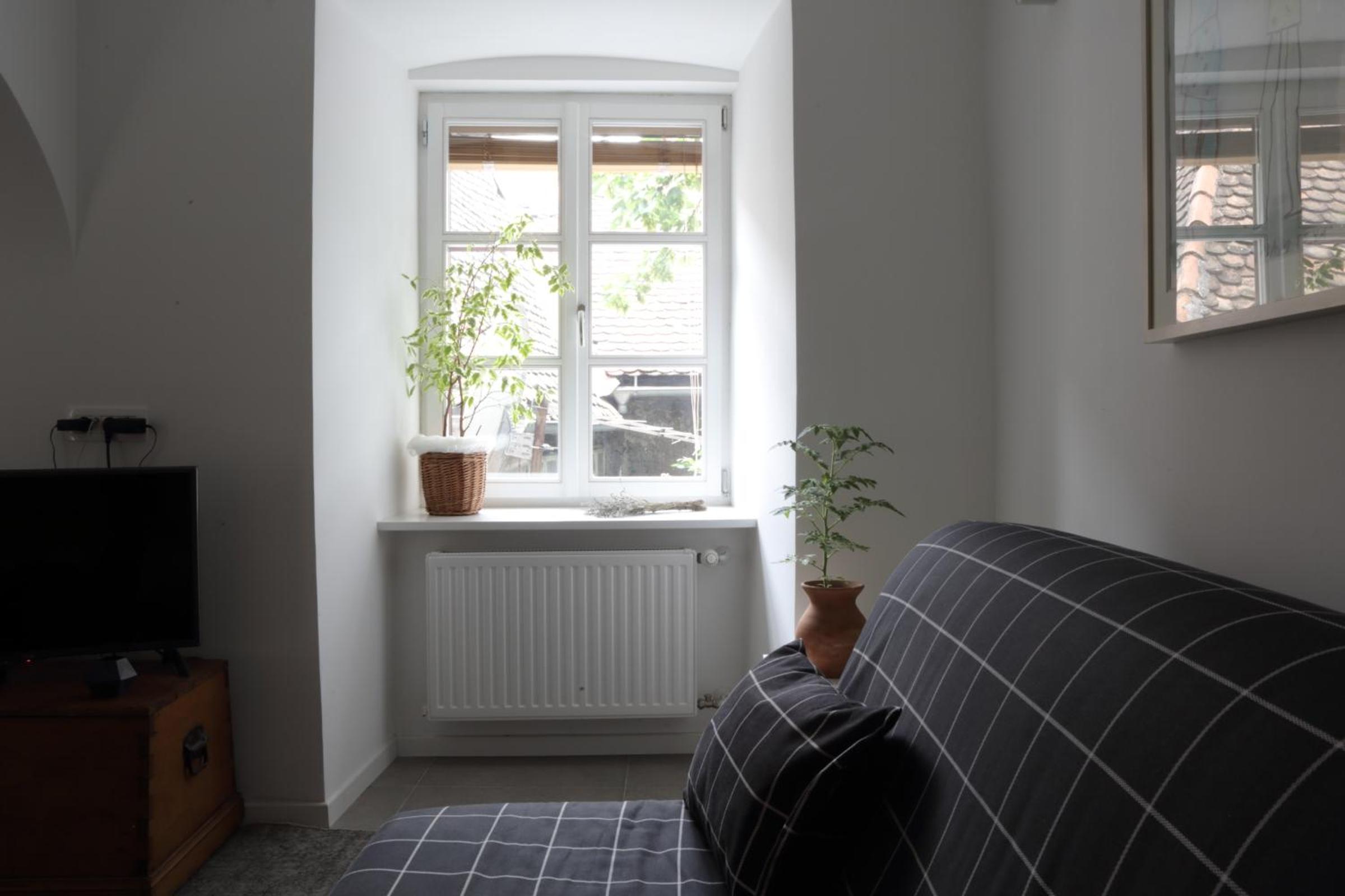 Studio Apartment - Photo 5