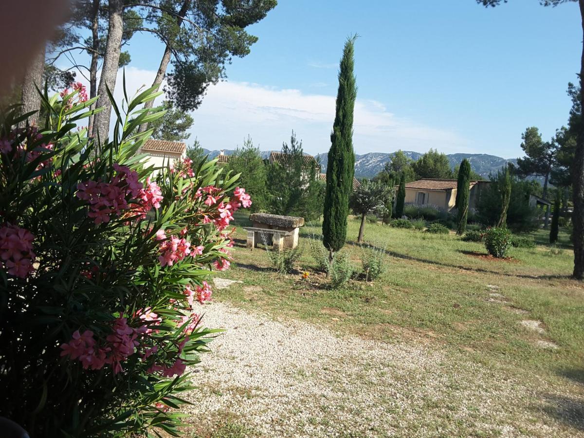 Double Room with Garden View photo 1