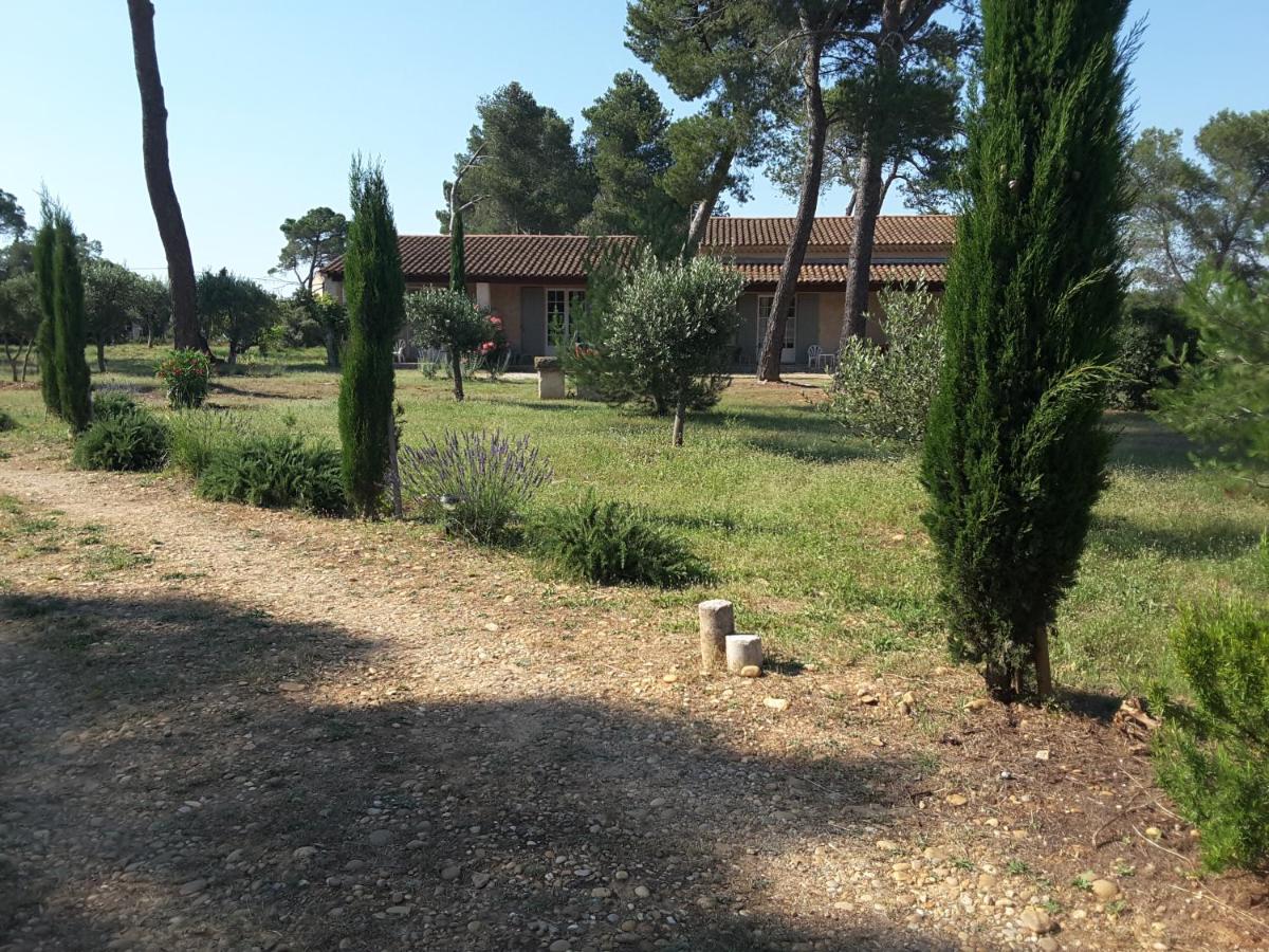 Double Room with Garden View photo 2