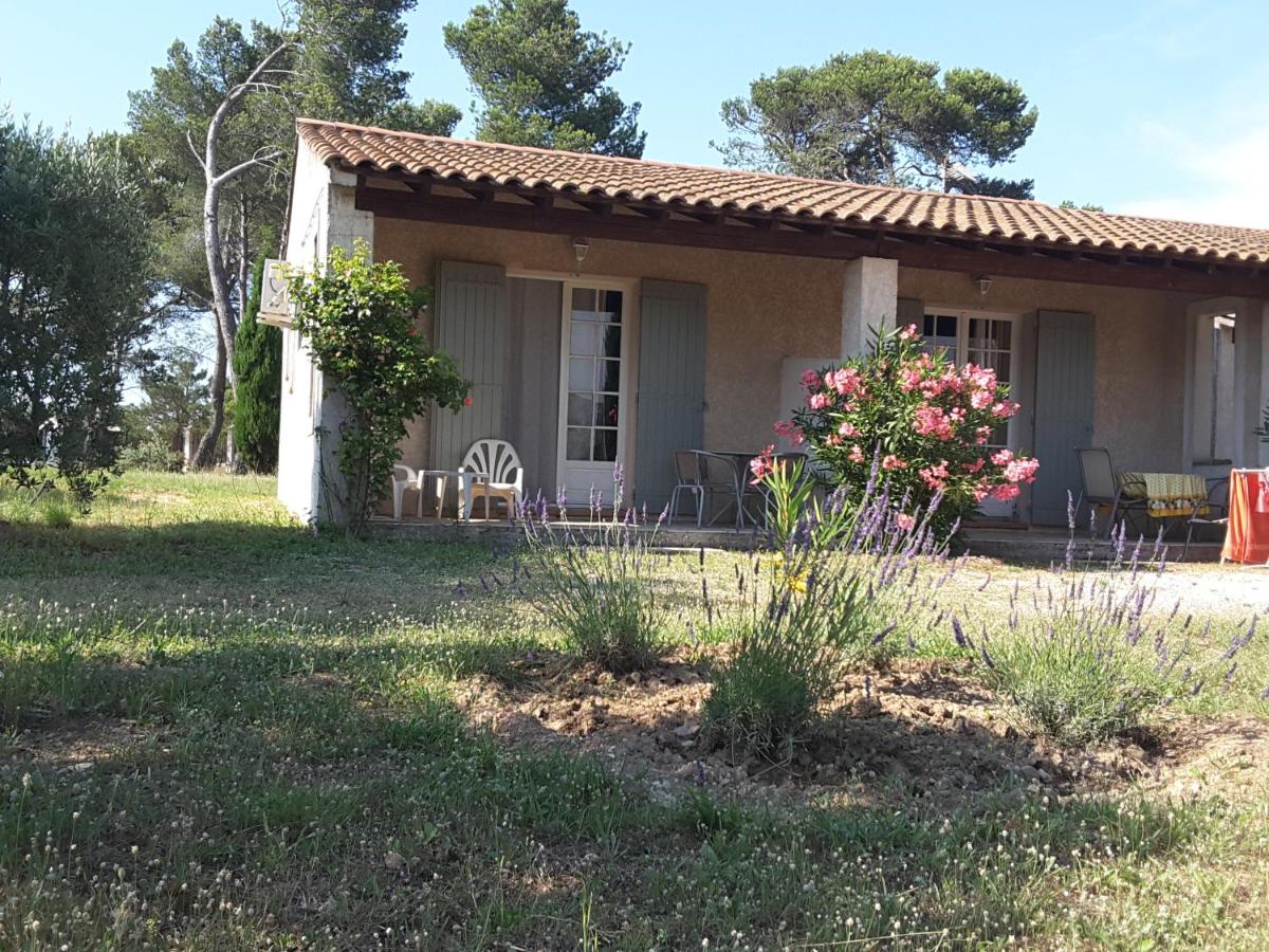 Double Room with Garden View photo 3