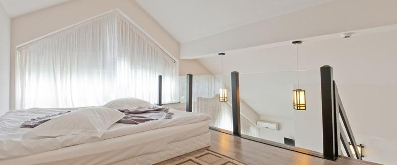 Duplex Suite - Photo 5