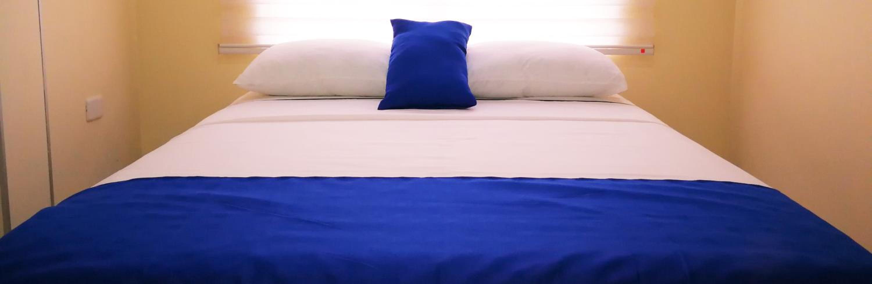 Deluxe Double or Twin Room photo 1