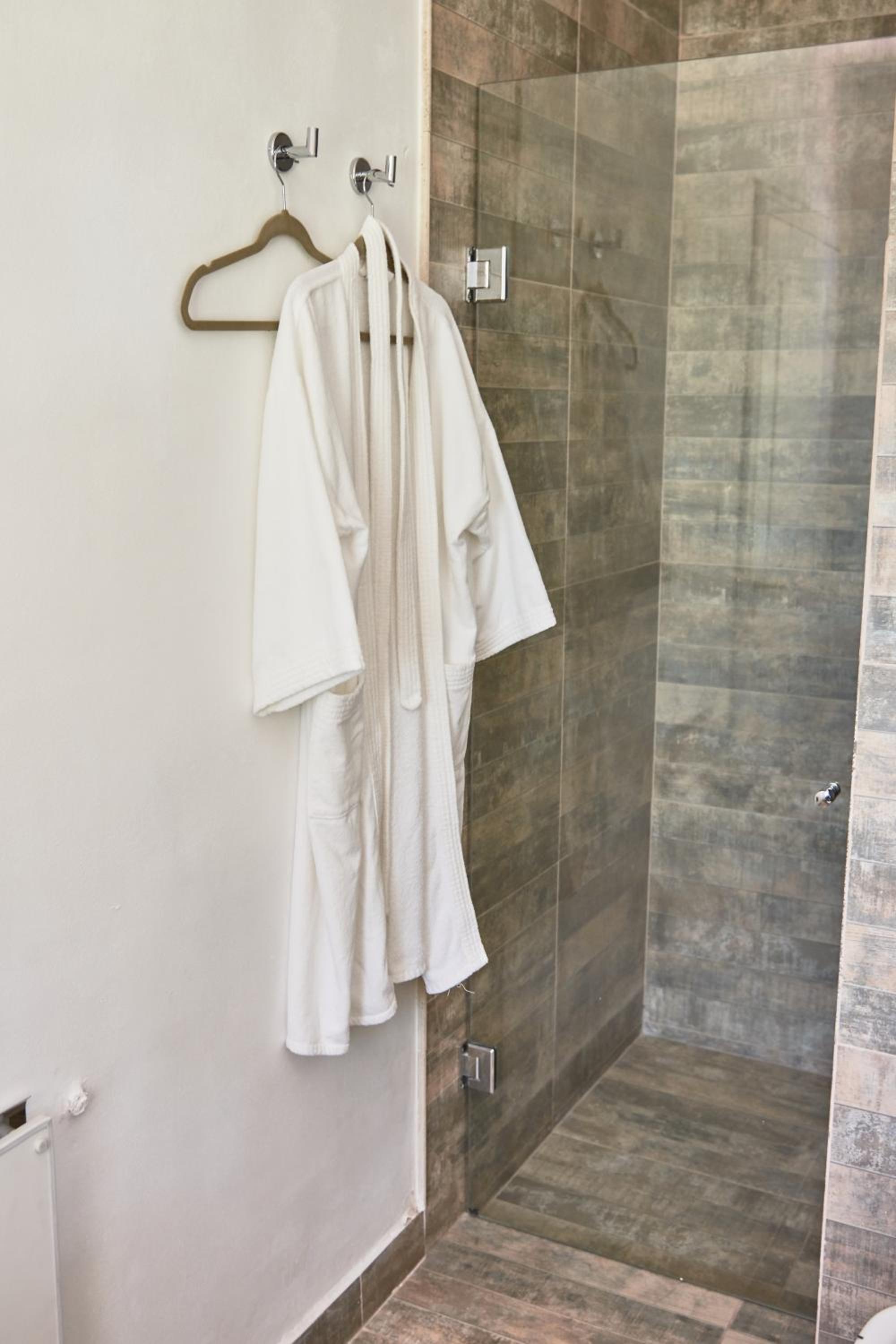 Deluxe Double or Twin Room photo 1