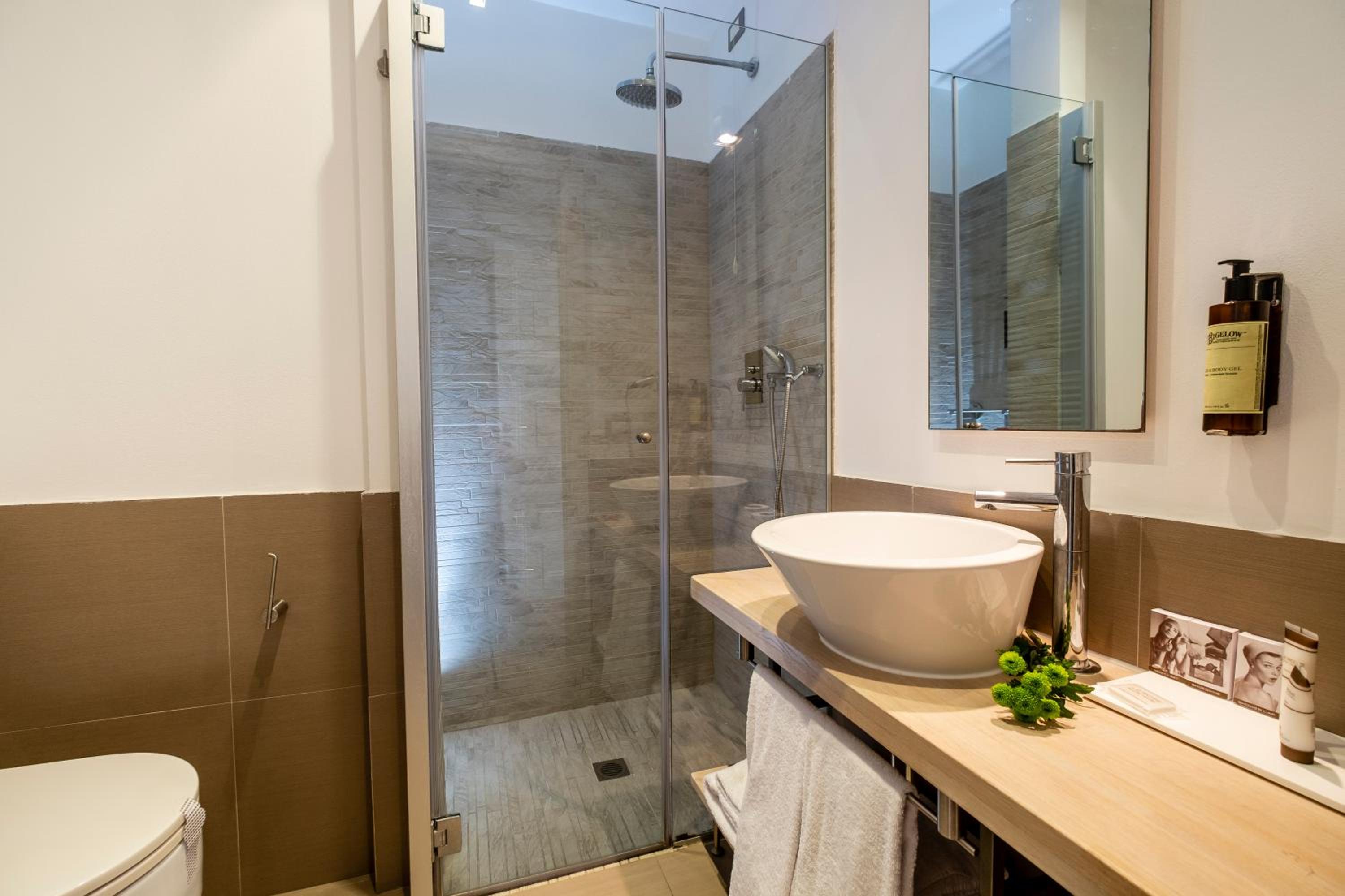 Deluxe Suite - Photo 11