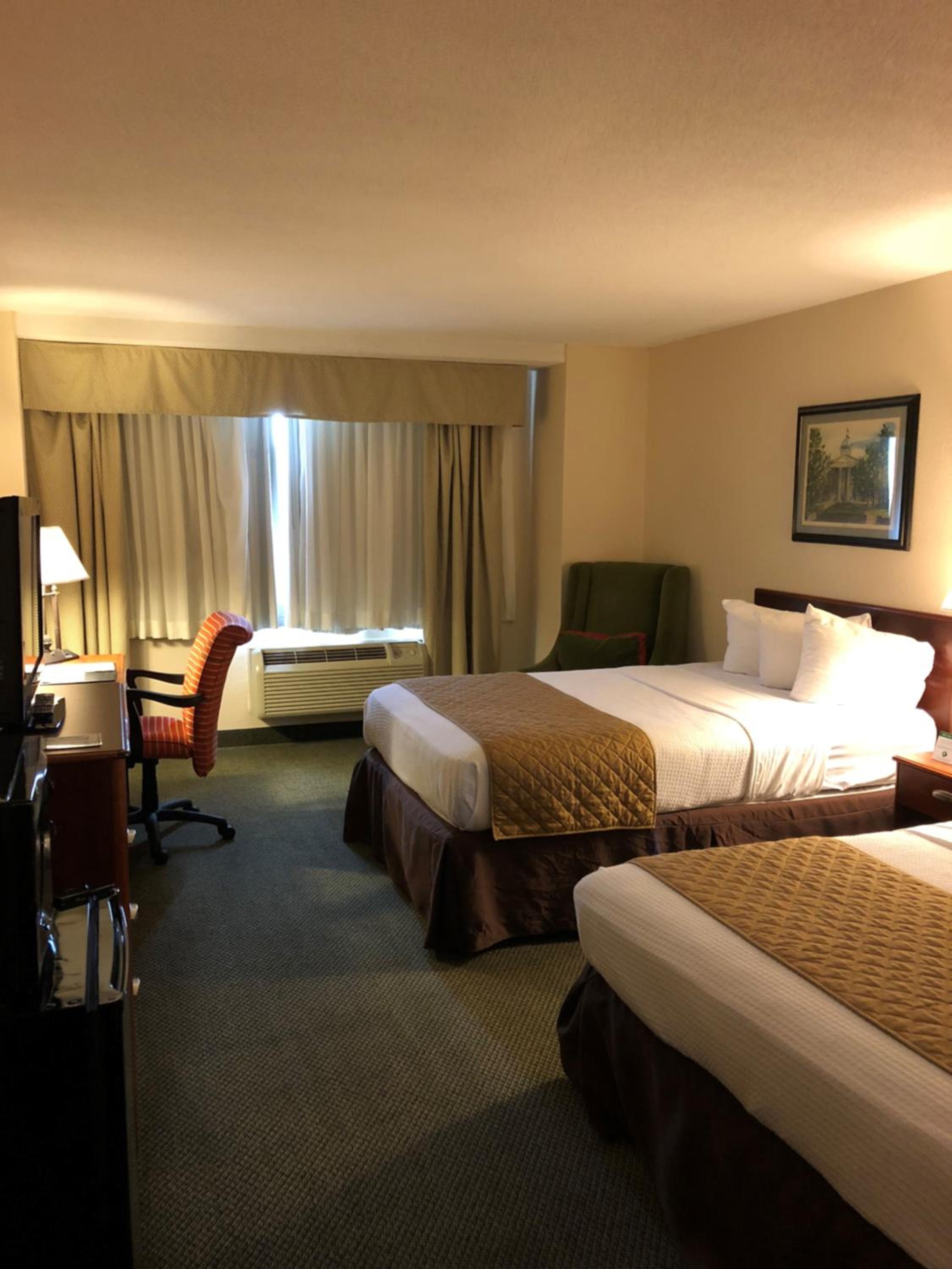 Double Mini Suite photo 1