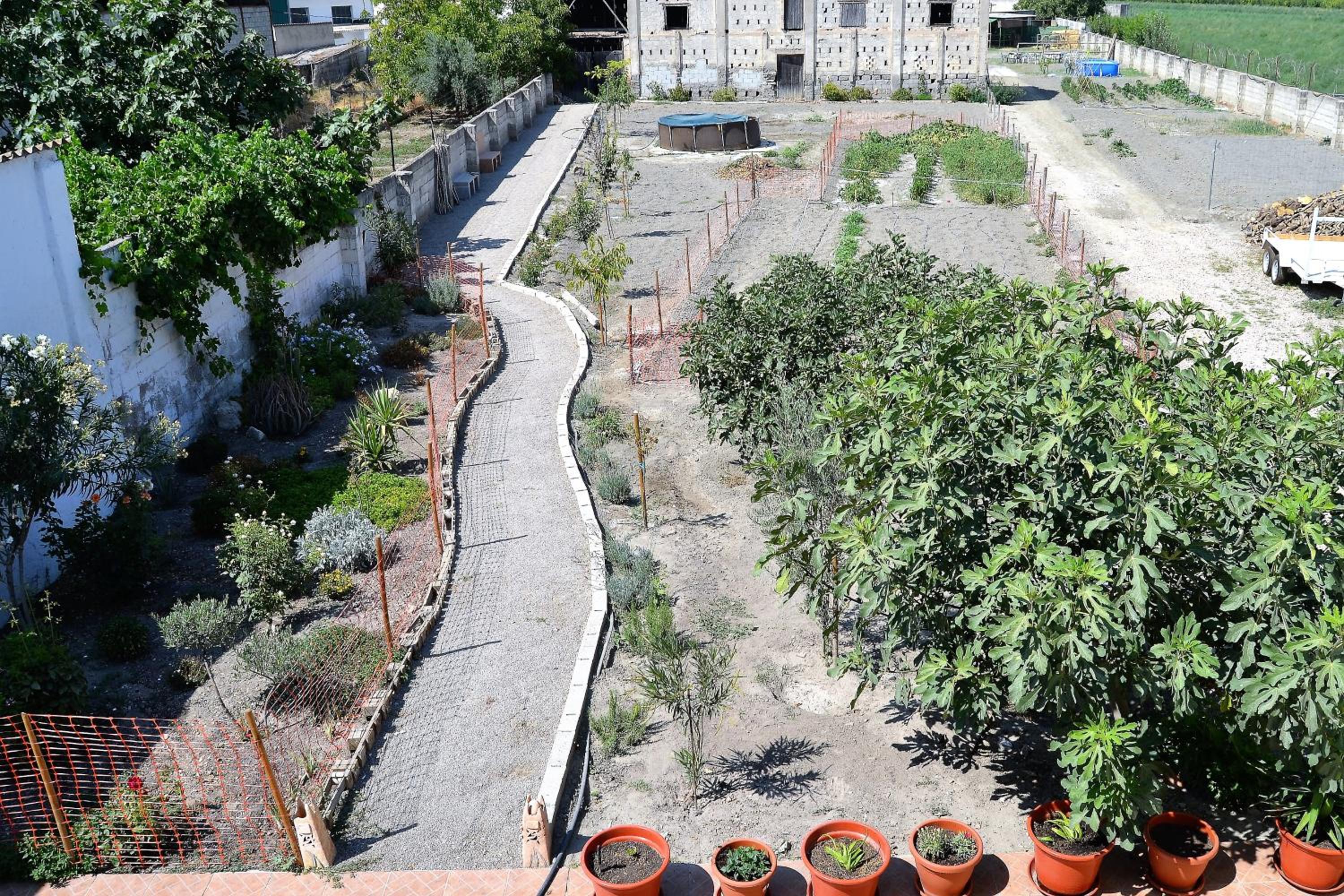 Apartment With Garden View photo 3
