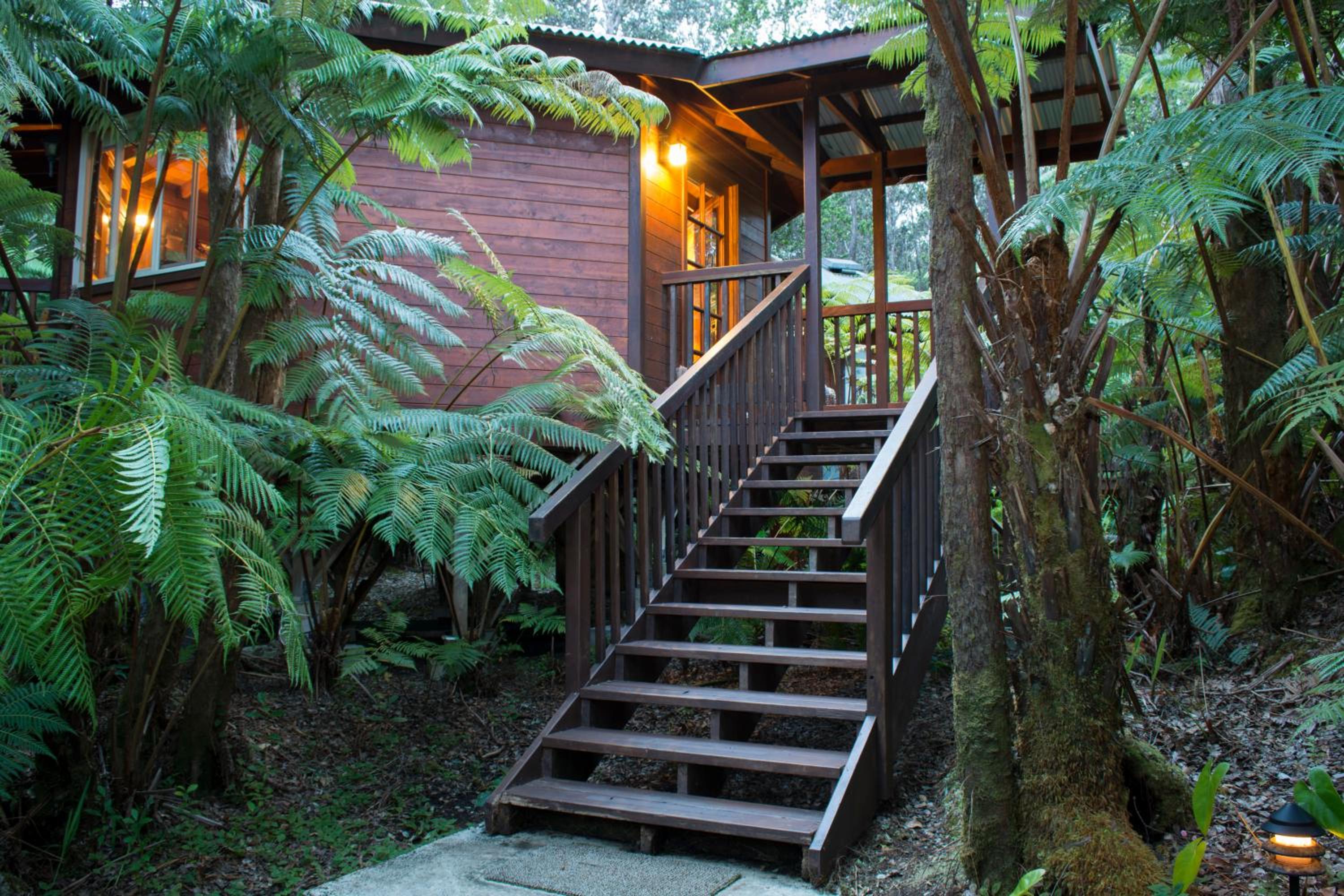 Bungalow 2 photo 3