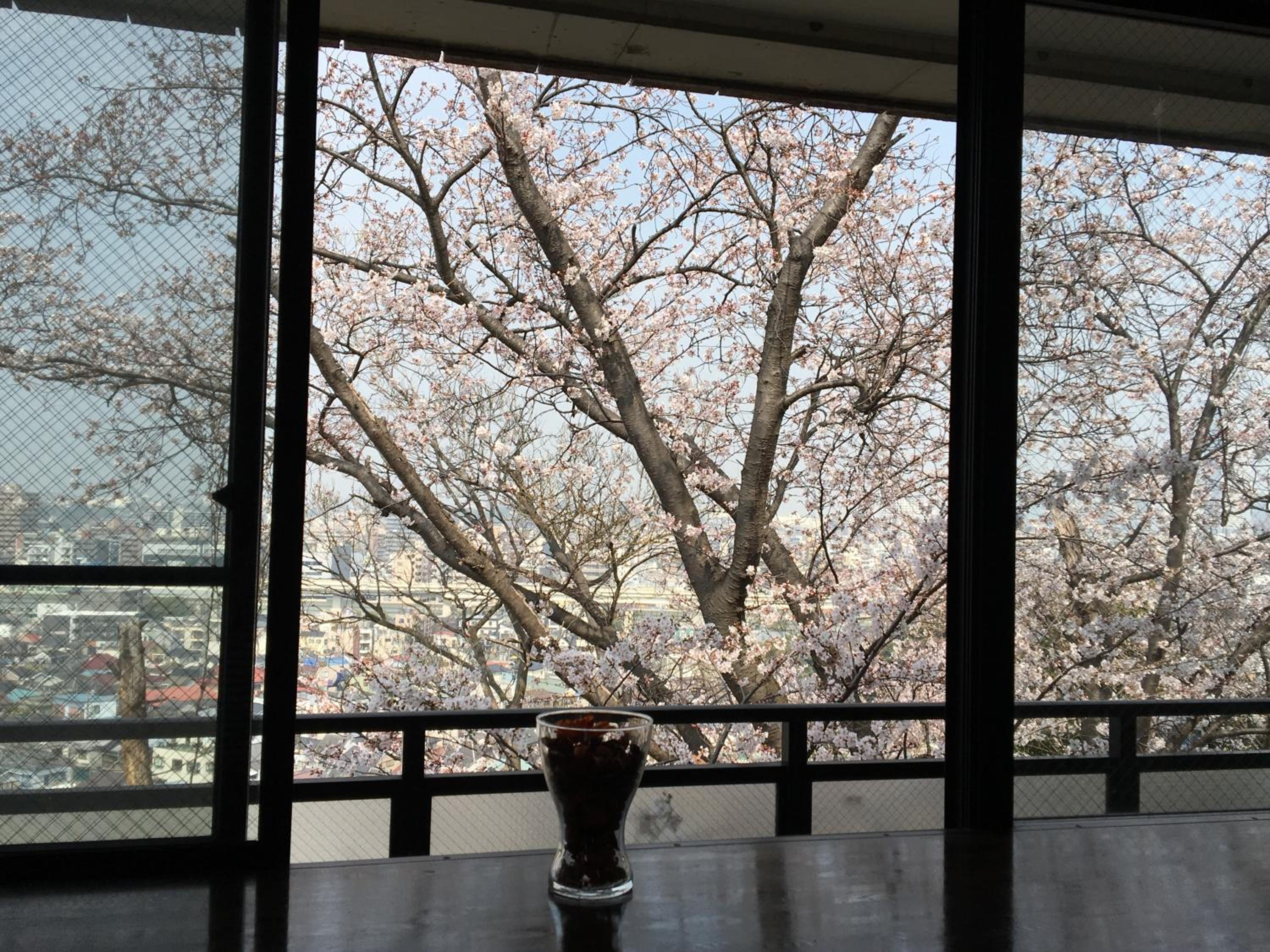 Apartment - Photo 95