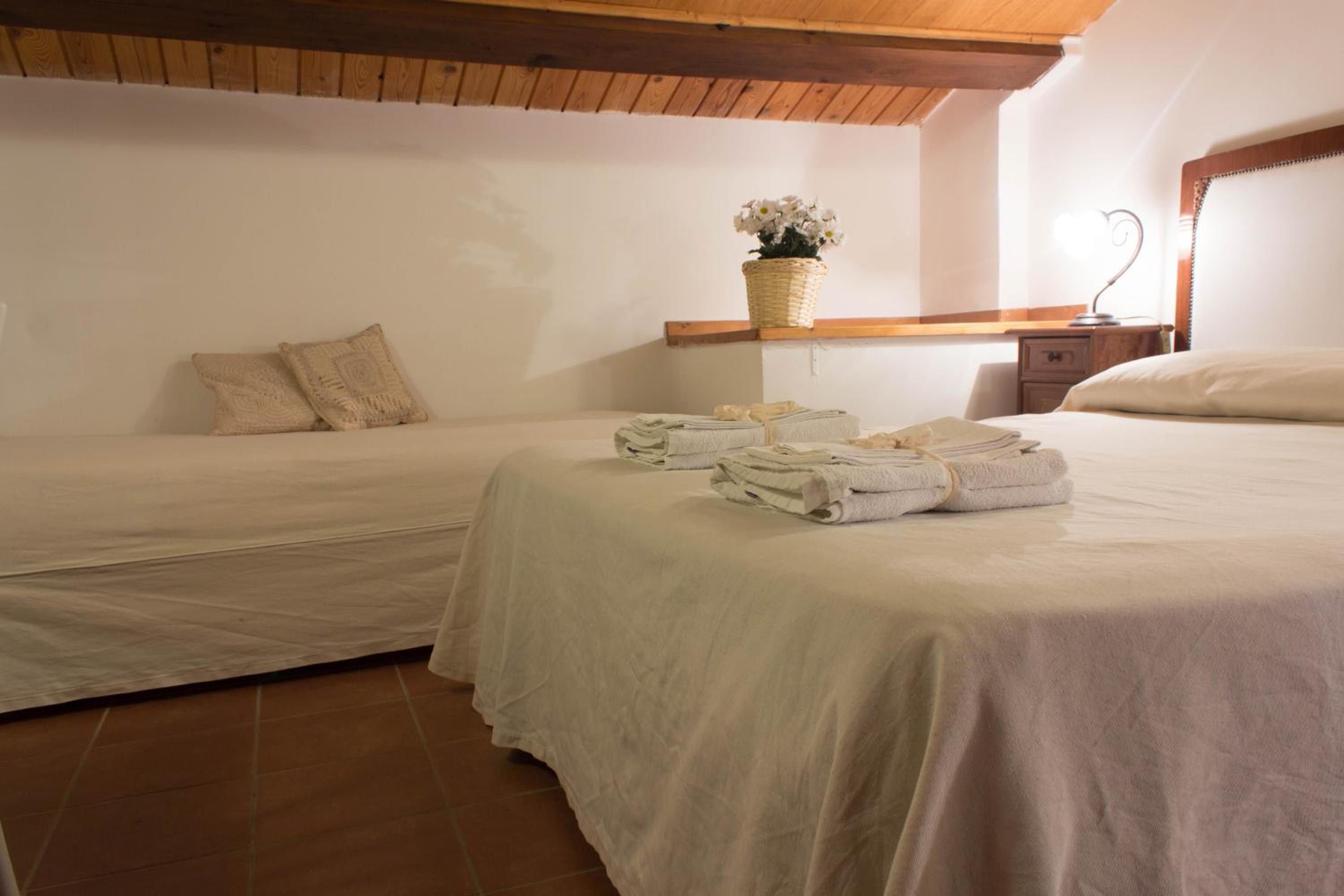 Twin Room photo 3