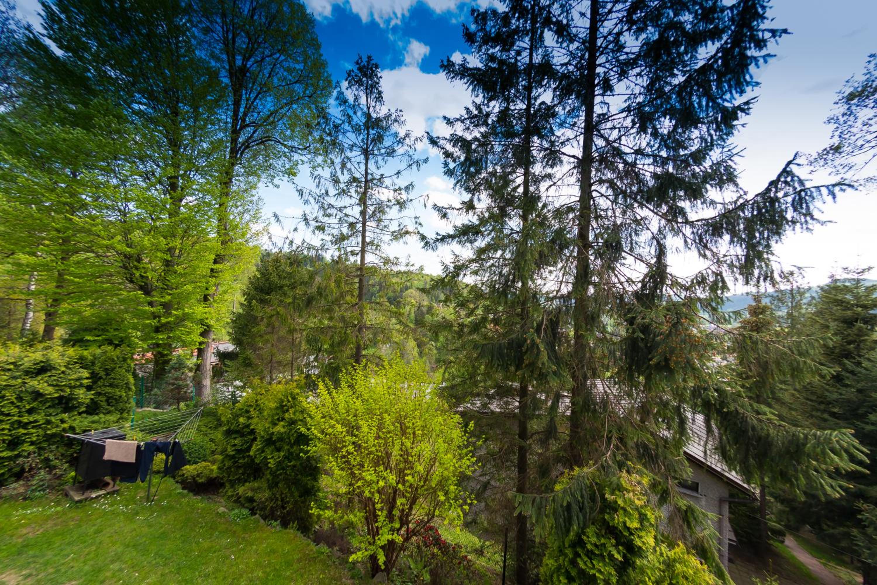 Apartment with Terrace photo 2