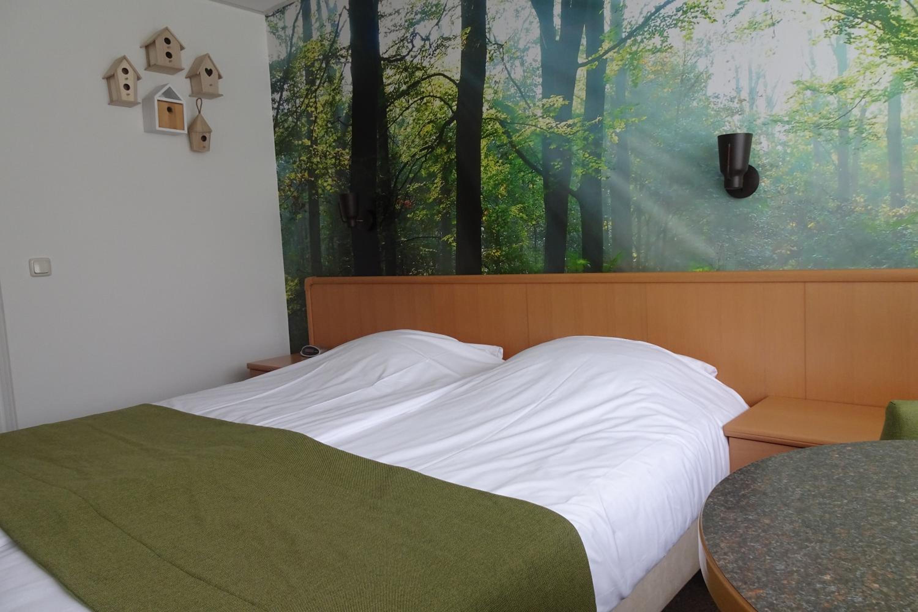 Single Room with Balcony photo 2