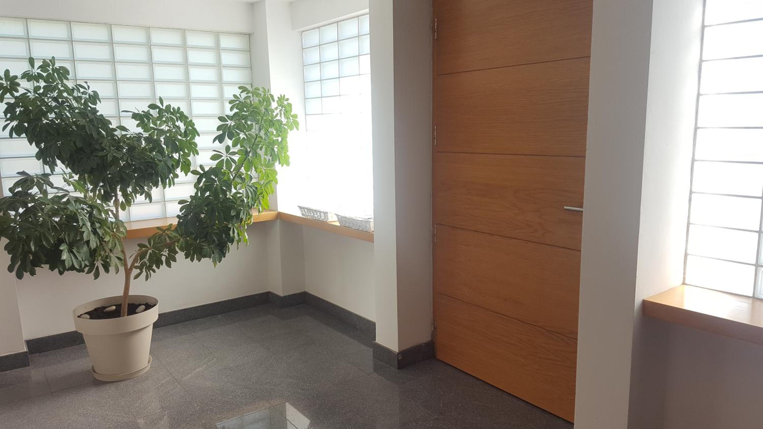 Studio Apartment photo 2
