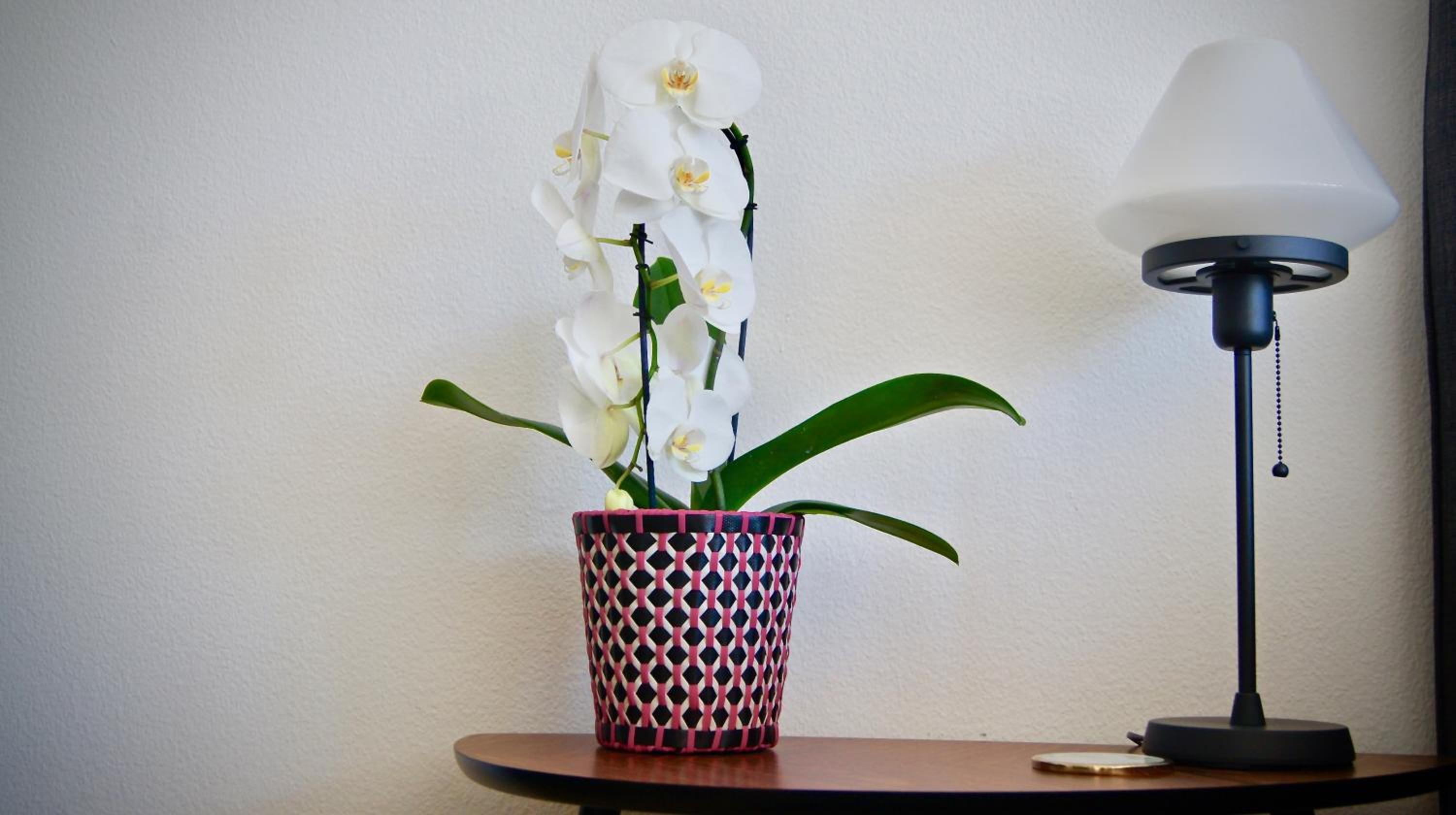 Apartment - Photo 9