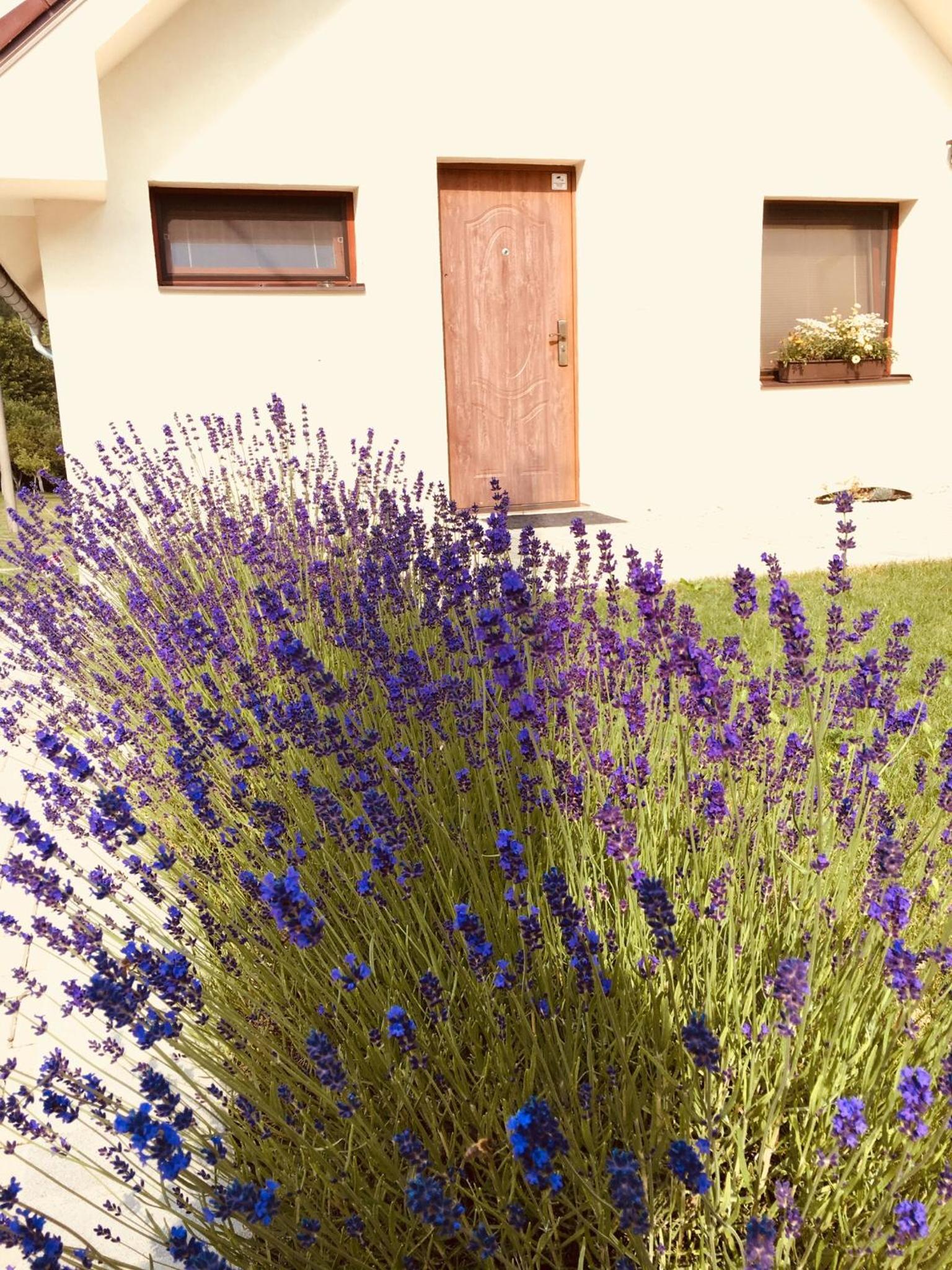 Vacation Home - Photo 12