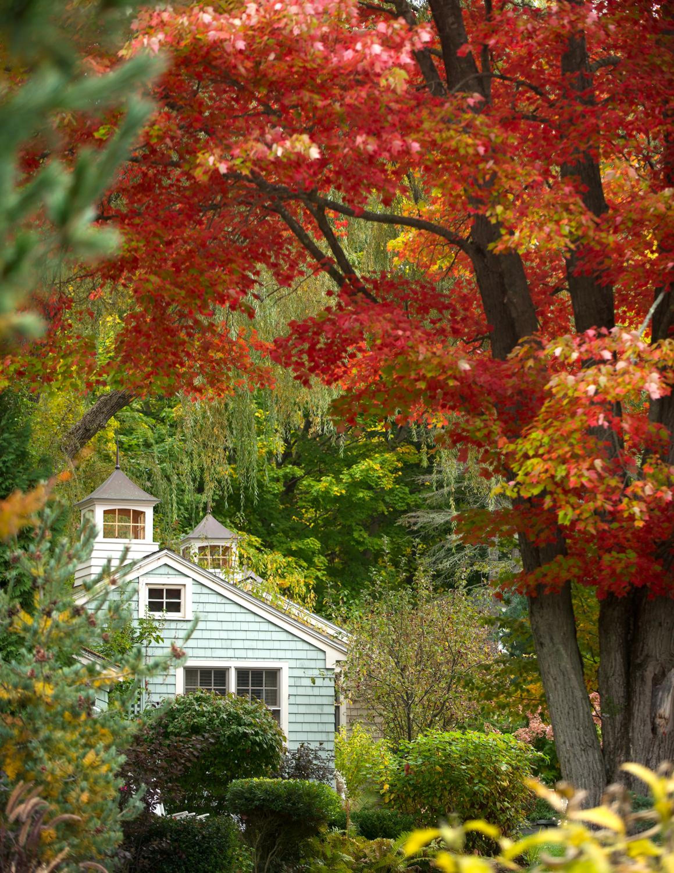 Sunrise Cottage with Garden View photo 2