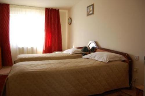 Twin Room - Photo 3