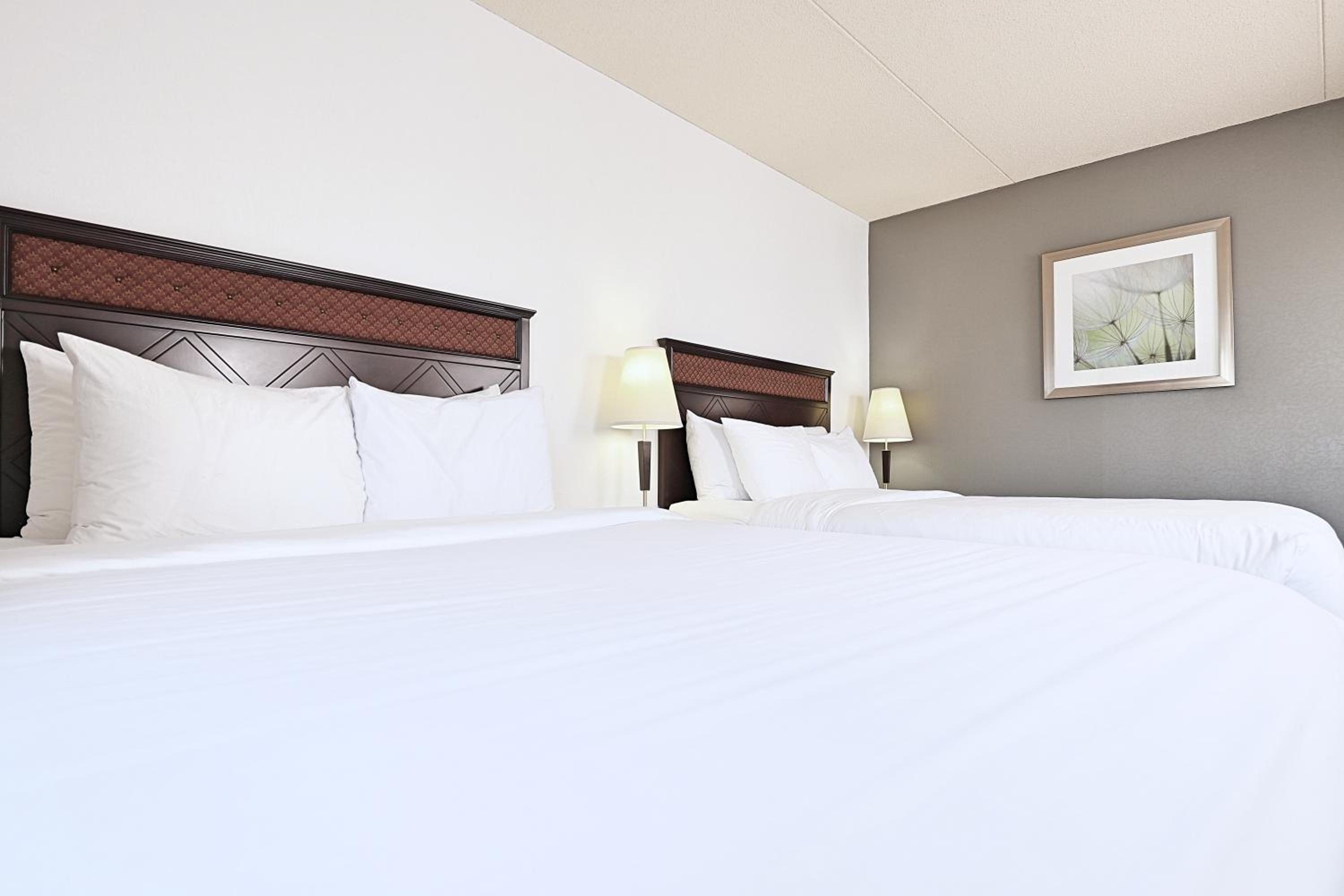 Double Room with Two Double Beds - Photo 2