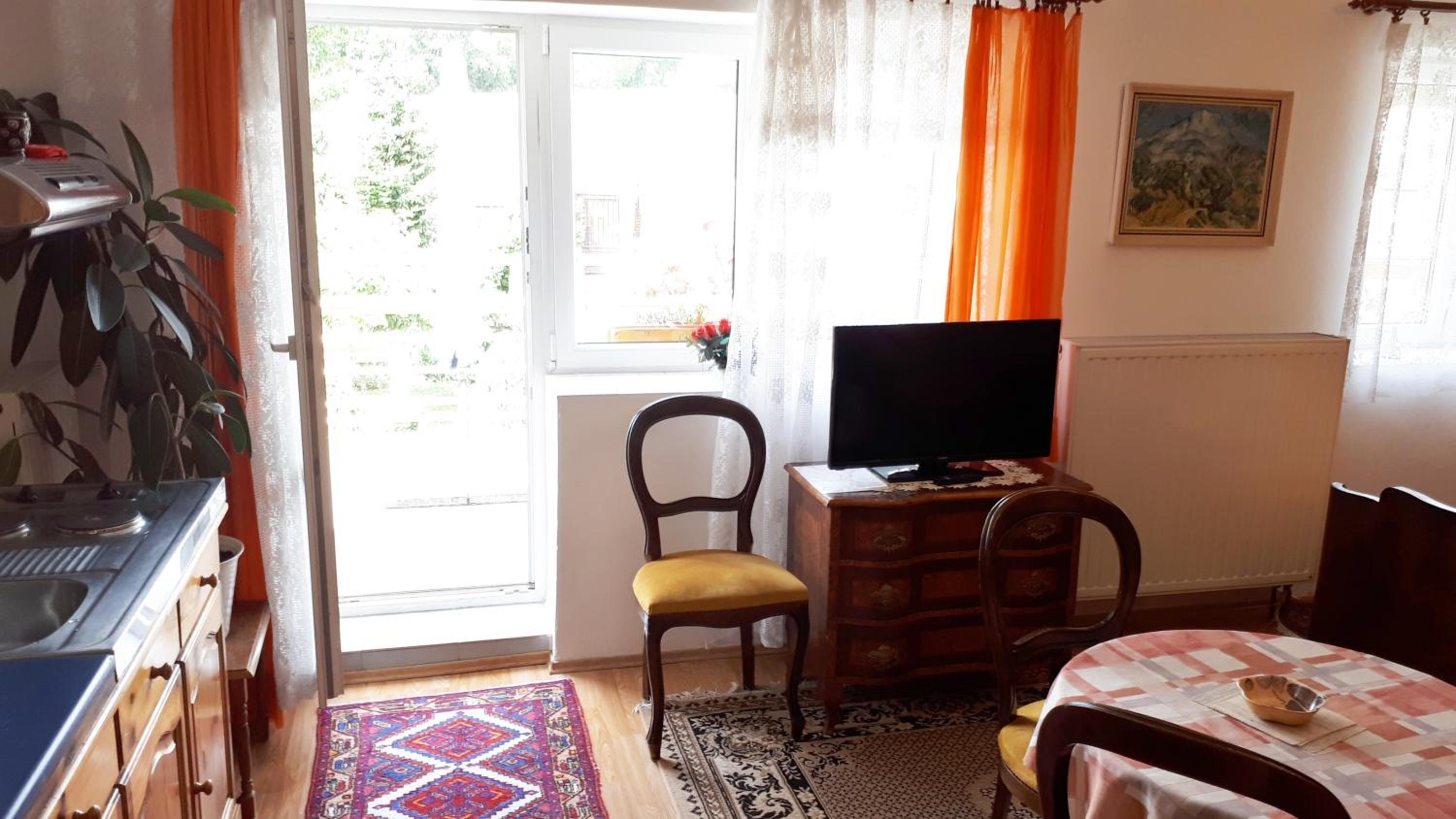 Apartment with Terrace photo 2