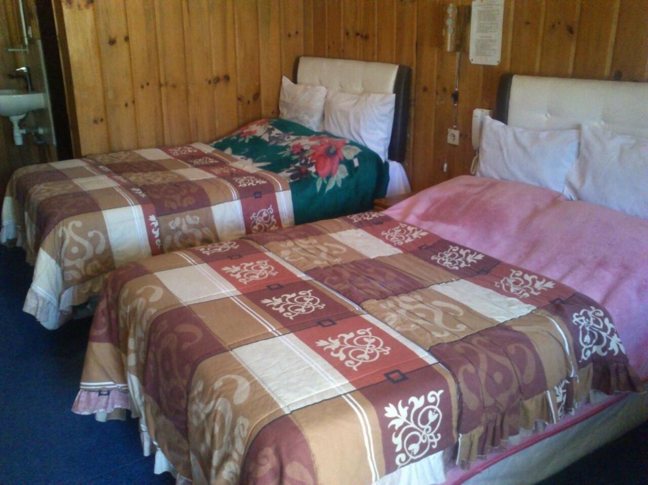Superior Twin Room with Terrace photo 1