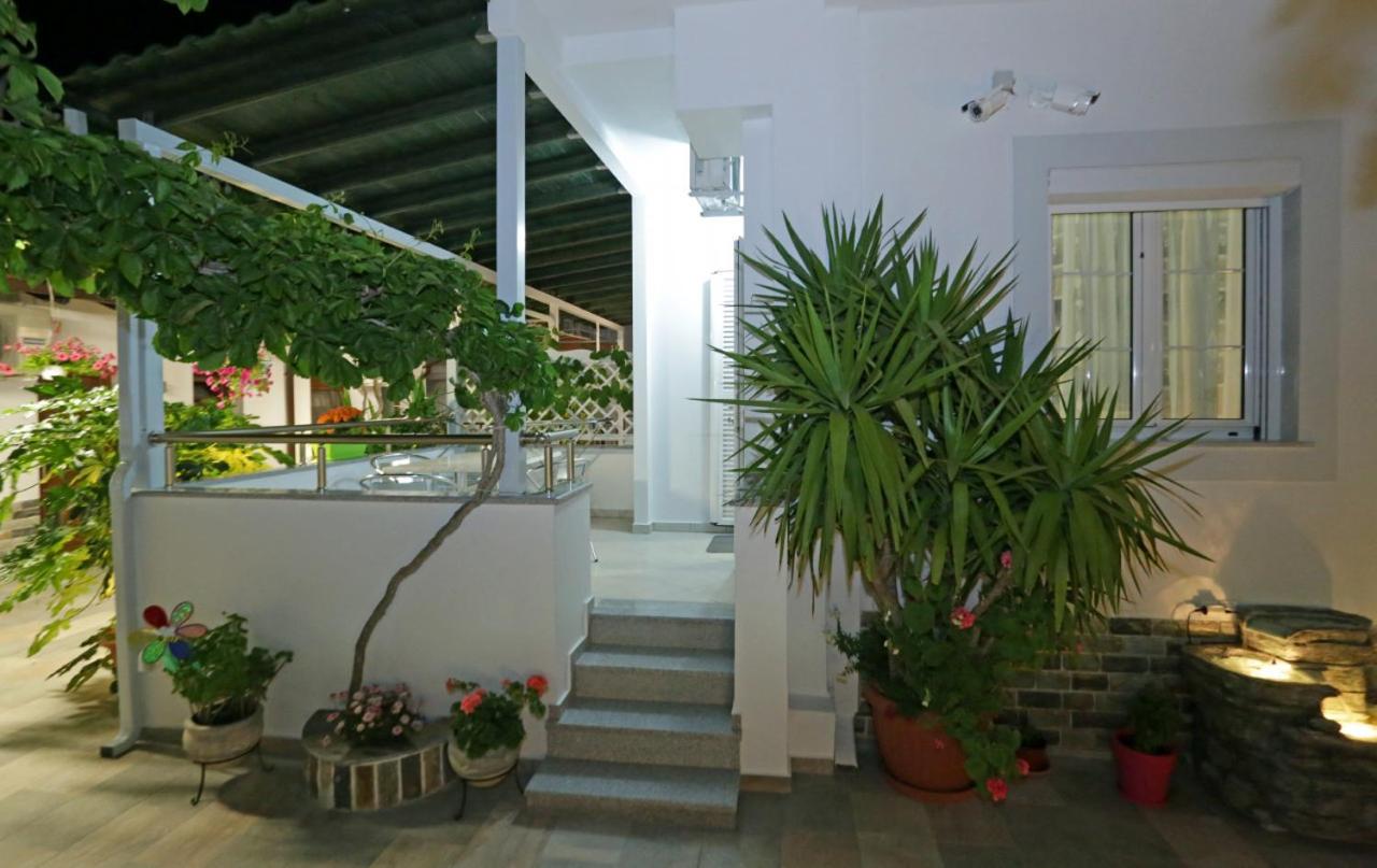 Studio with Terrace photo 2