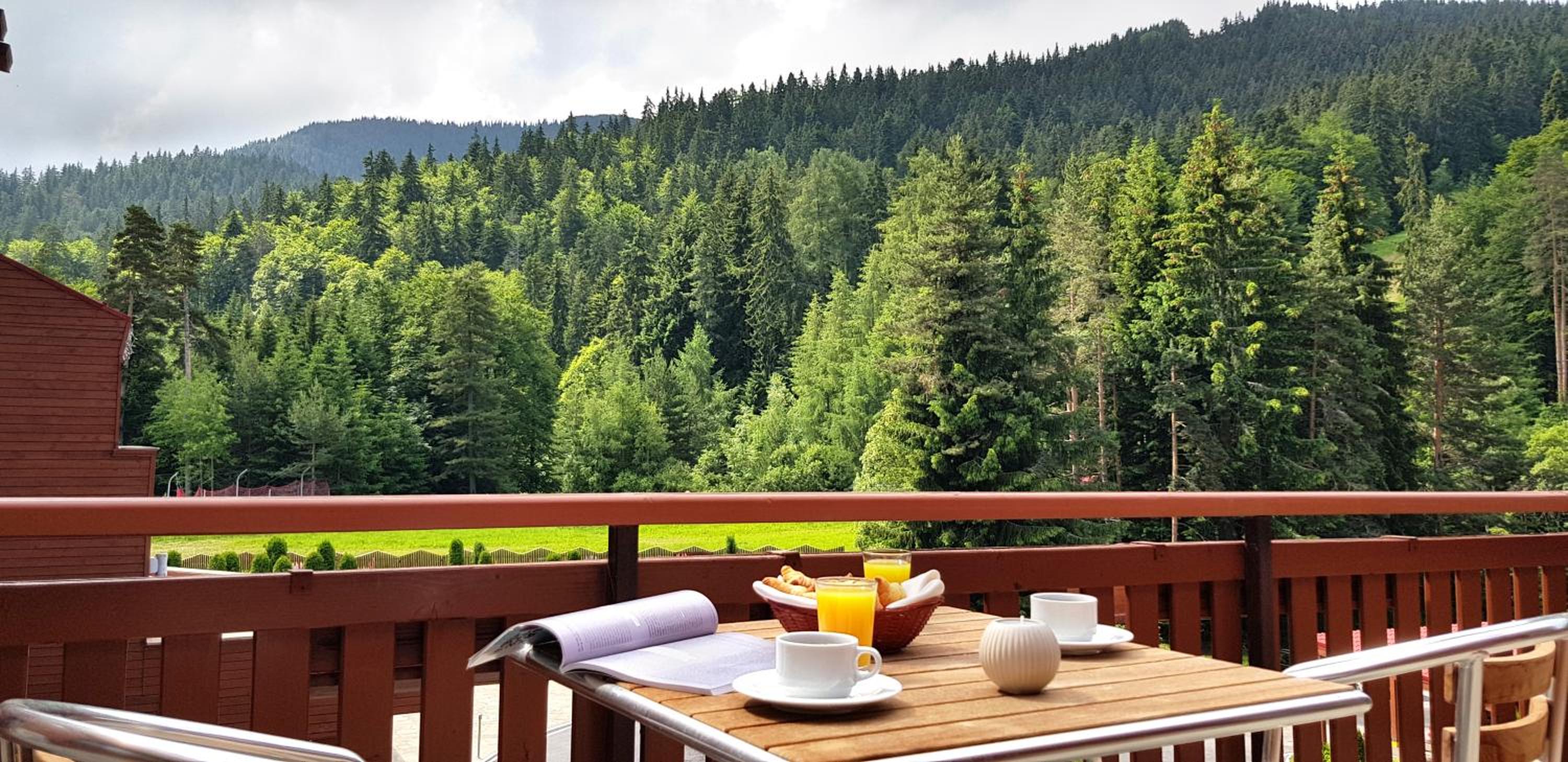 Balcony & Terrace
